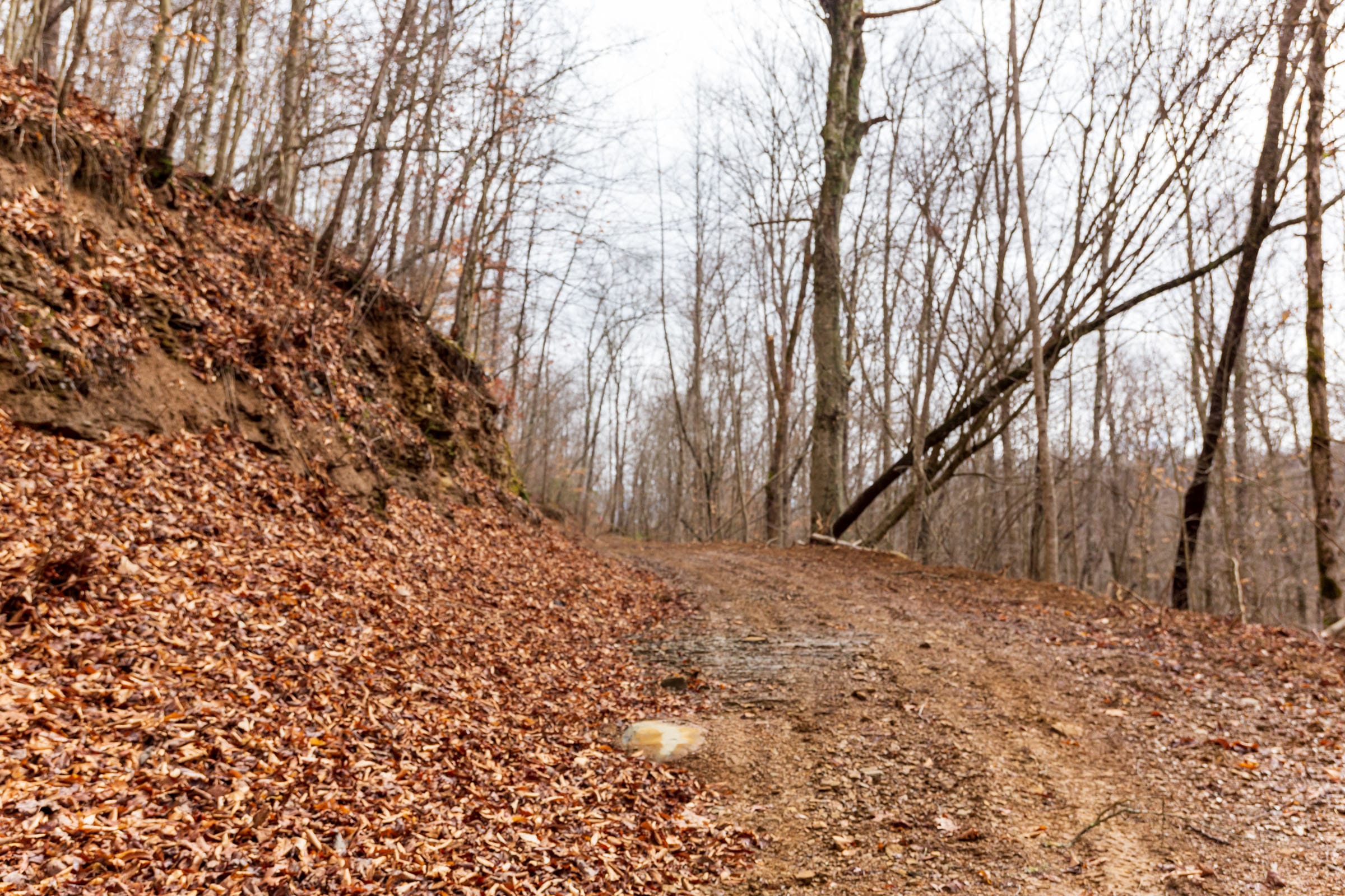 Blackstone Mountain Phase II Tract 78 photo 1