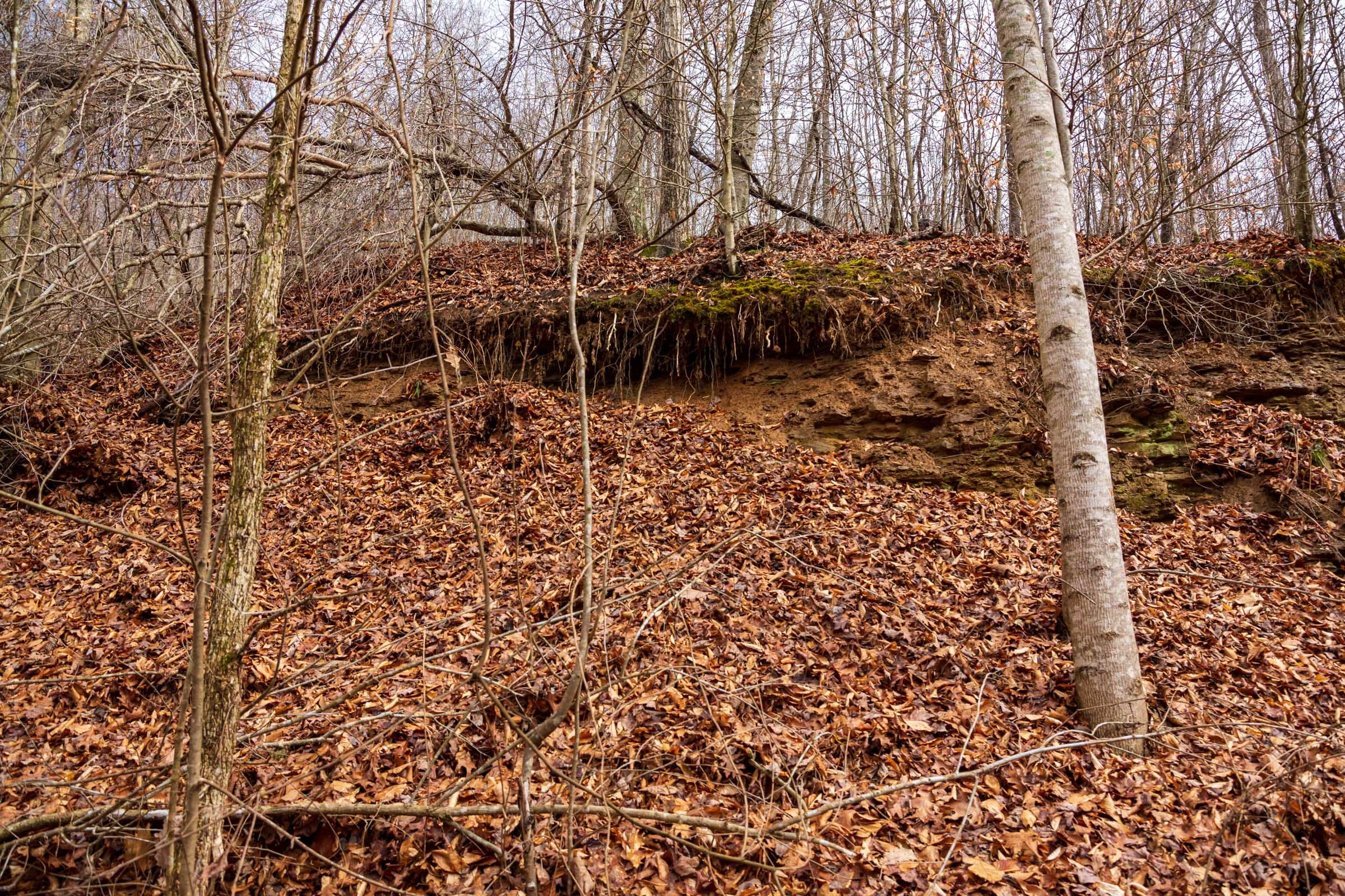 Blackstone Mountain Phase II Tract 78 photo 3