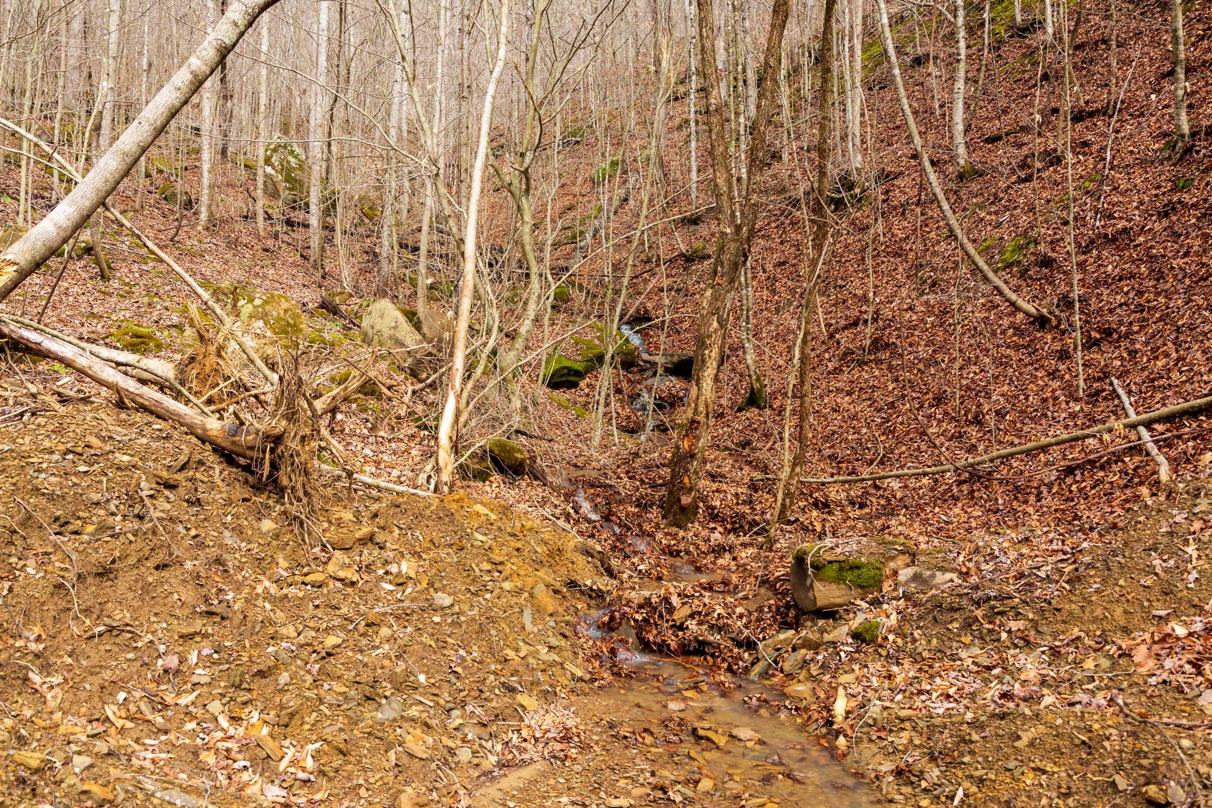 Blackstone Mountain Phase II Tract 78 photo 4