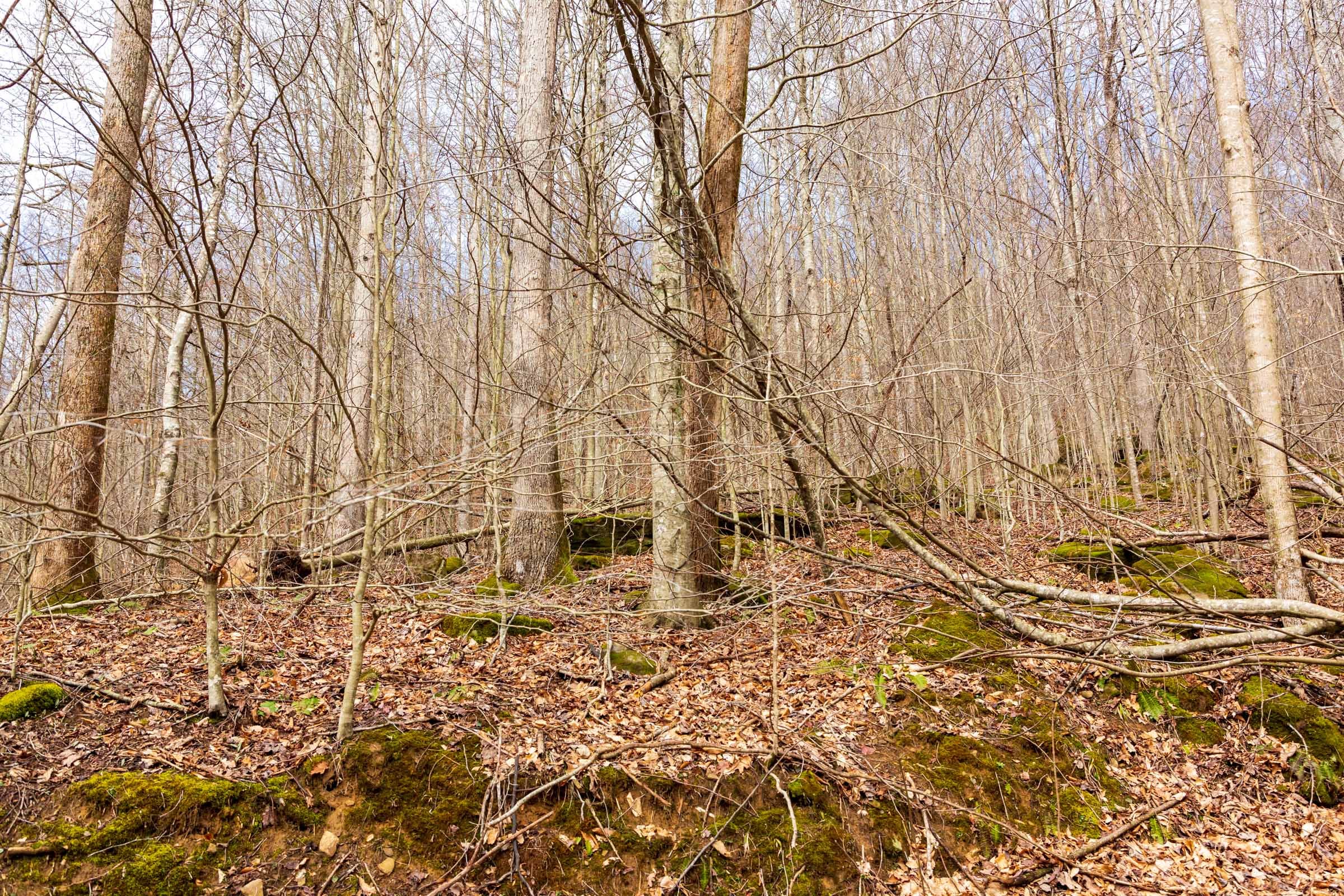 Blackstone Mountain Phase II Tract 78 photo 6