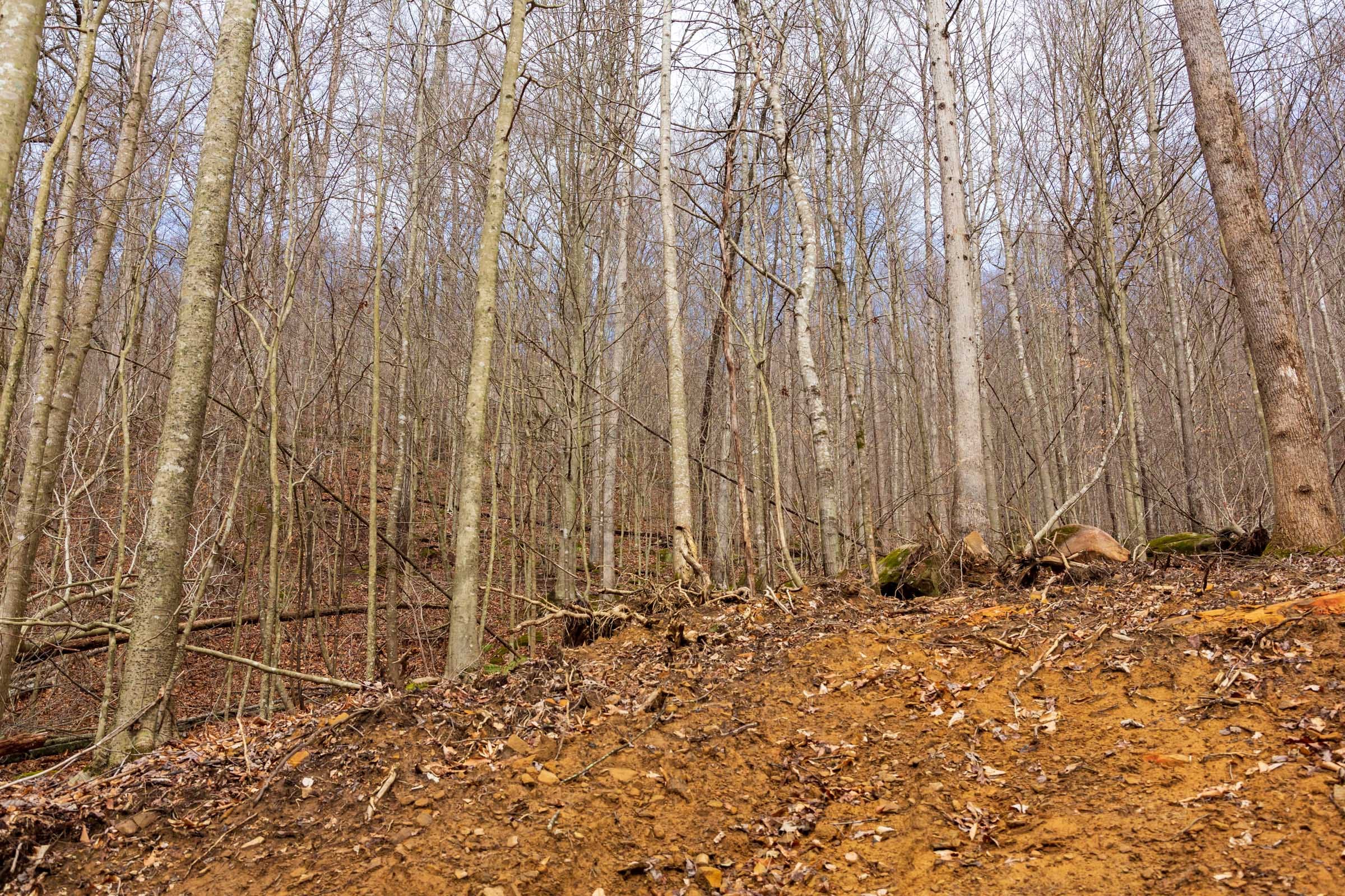 Blackstone Mountain Phase II Tract 78 photo 7
