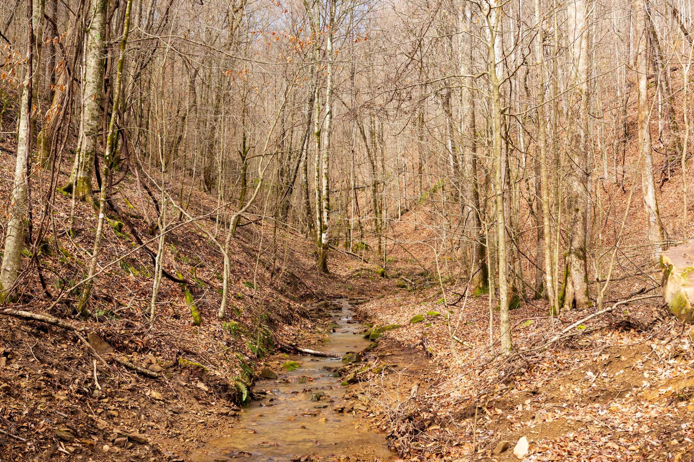 Blackstone Mountain Phase II Tract 78 photo 2
