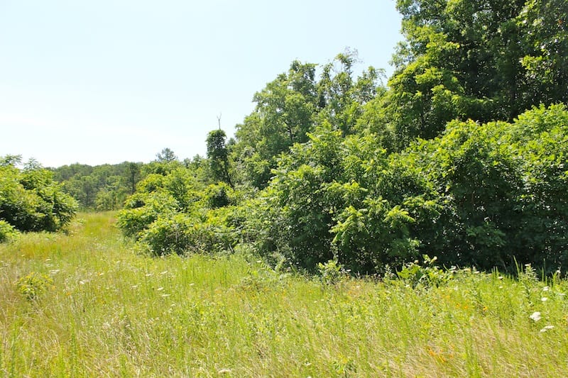 Green Mountain Ranch Tract 32 photo 3