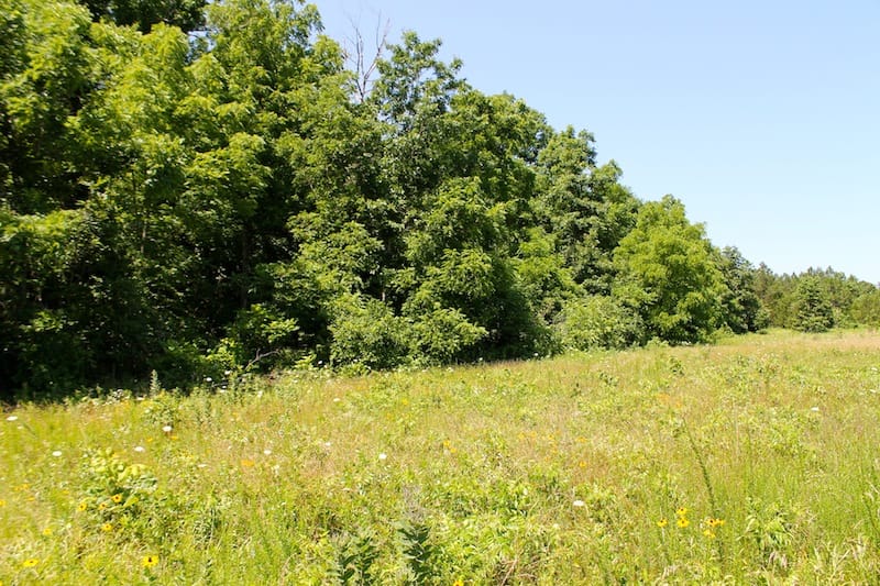 Green Mountain Ranch Tract 32 photo 4
