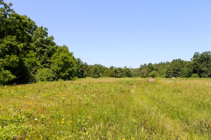 Green Mountain Ranch Tract 32 photo 5