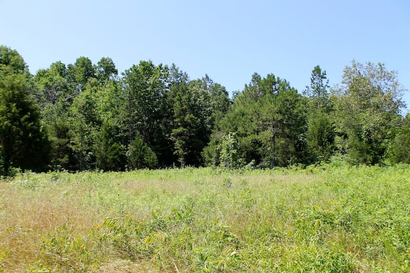 Green Mountain Ranch Tract 32 photo 6
