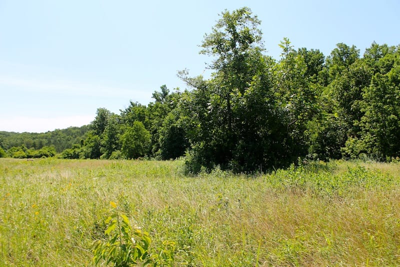 Green Mountain Ranch Tract 32 photo 7