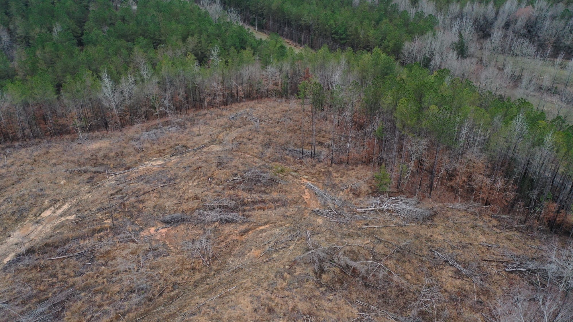 Fairview Hills Tract 1 photo 4