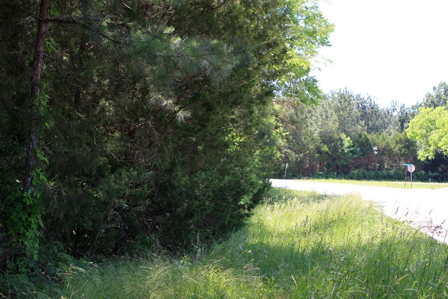 Hickory Hill Ranch Tract 2 photo 6