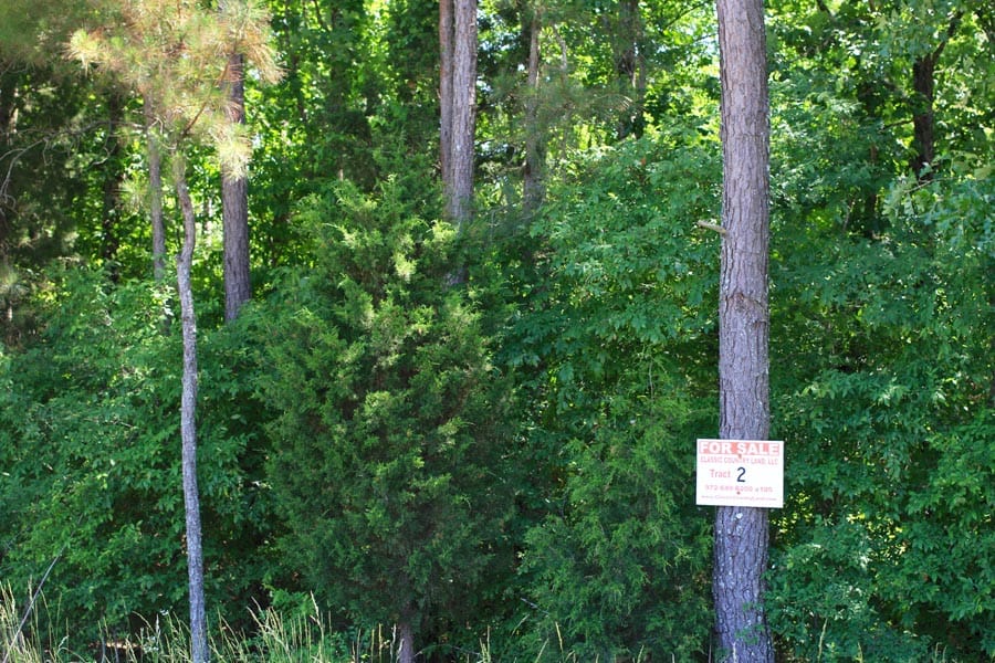 Hickory Hill Ranch Tract 2 photo 1