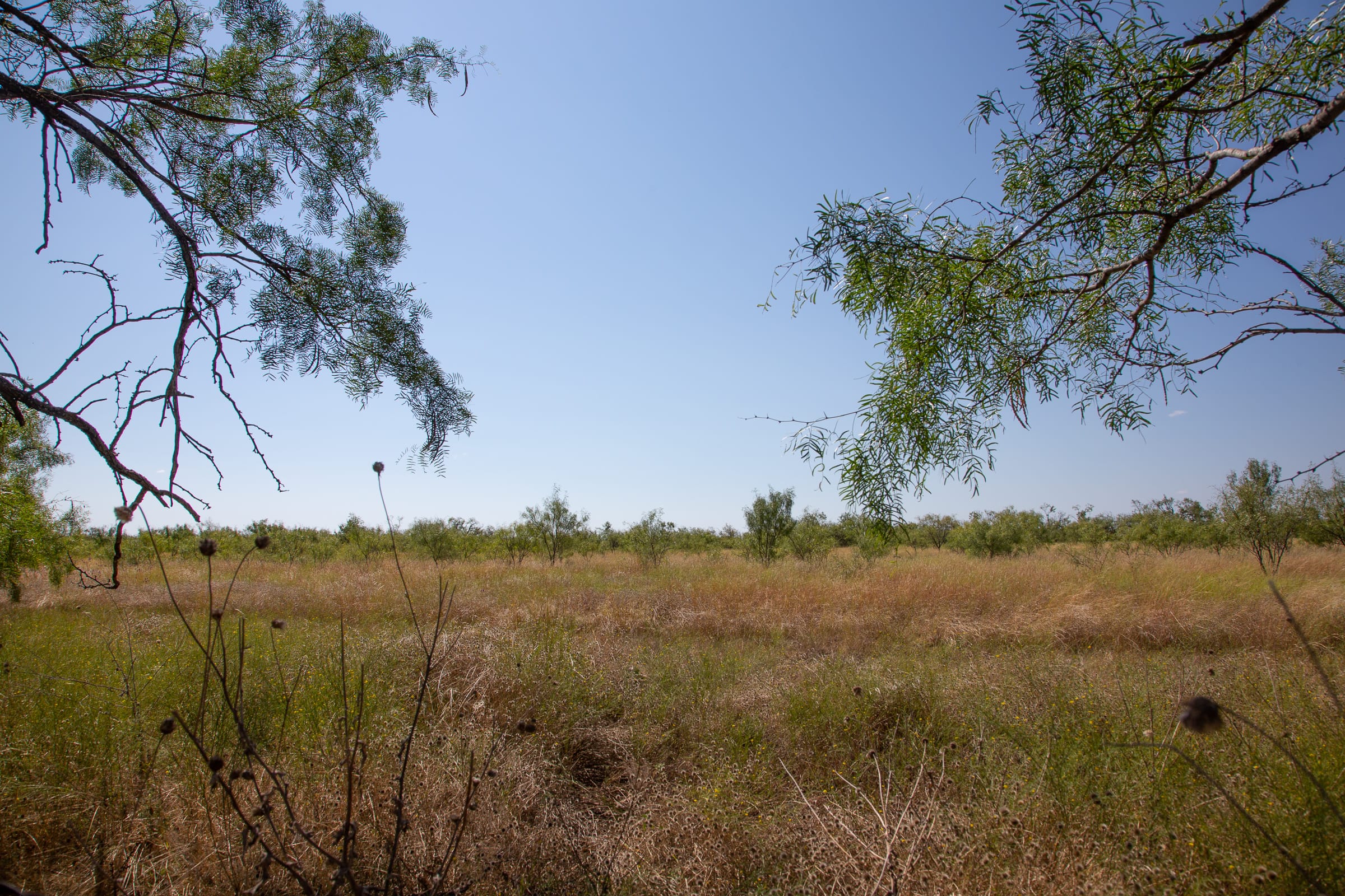 Hunter’s Ranch Tract 6 photo 2