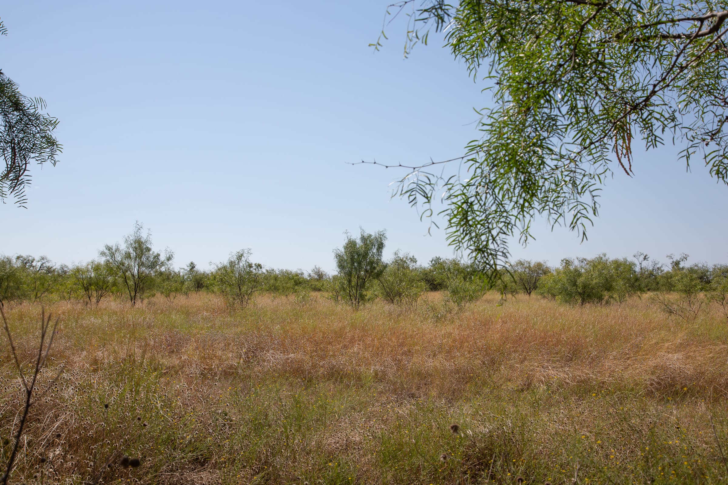 Hunter’s Ranch Tract 6 photo 4