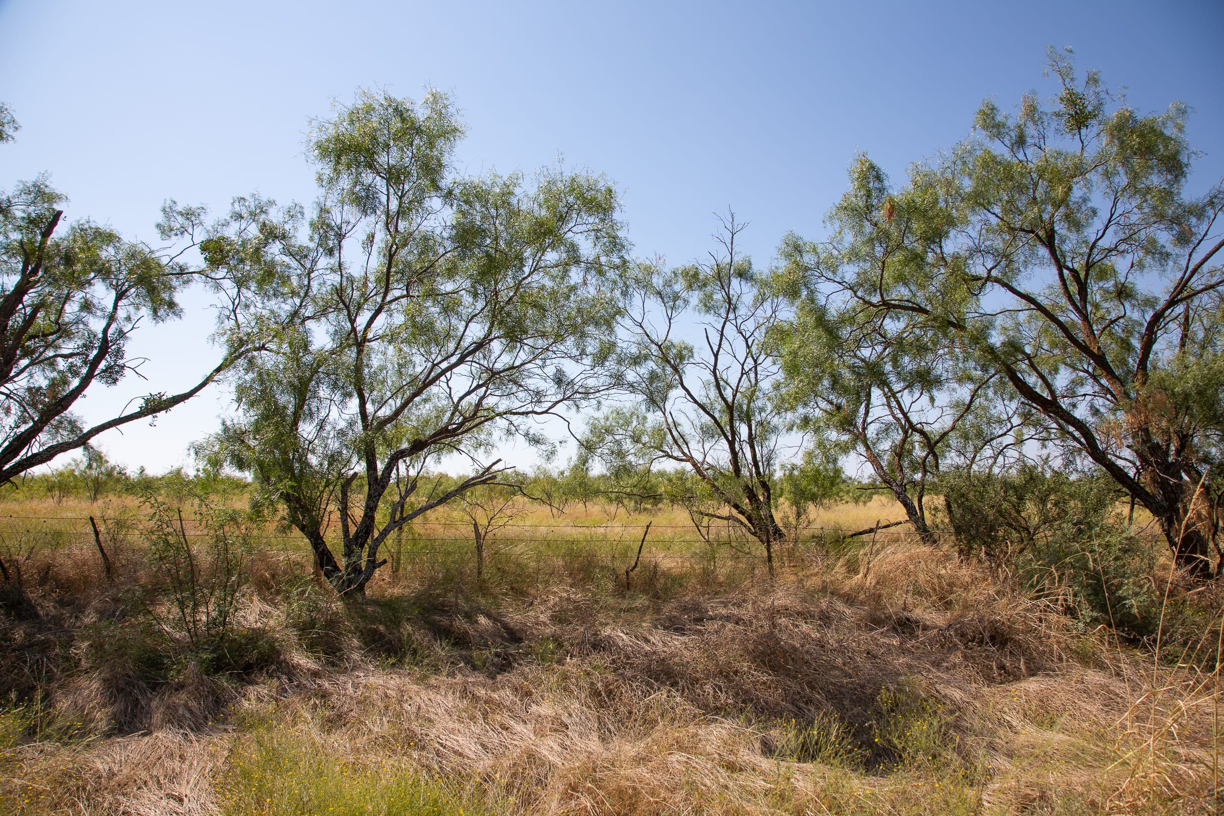 Hunter’s Ranch Tract 6 photo 3