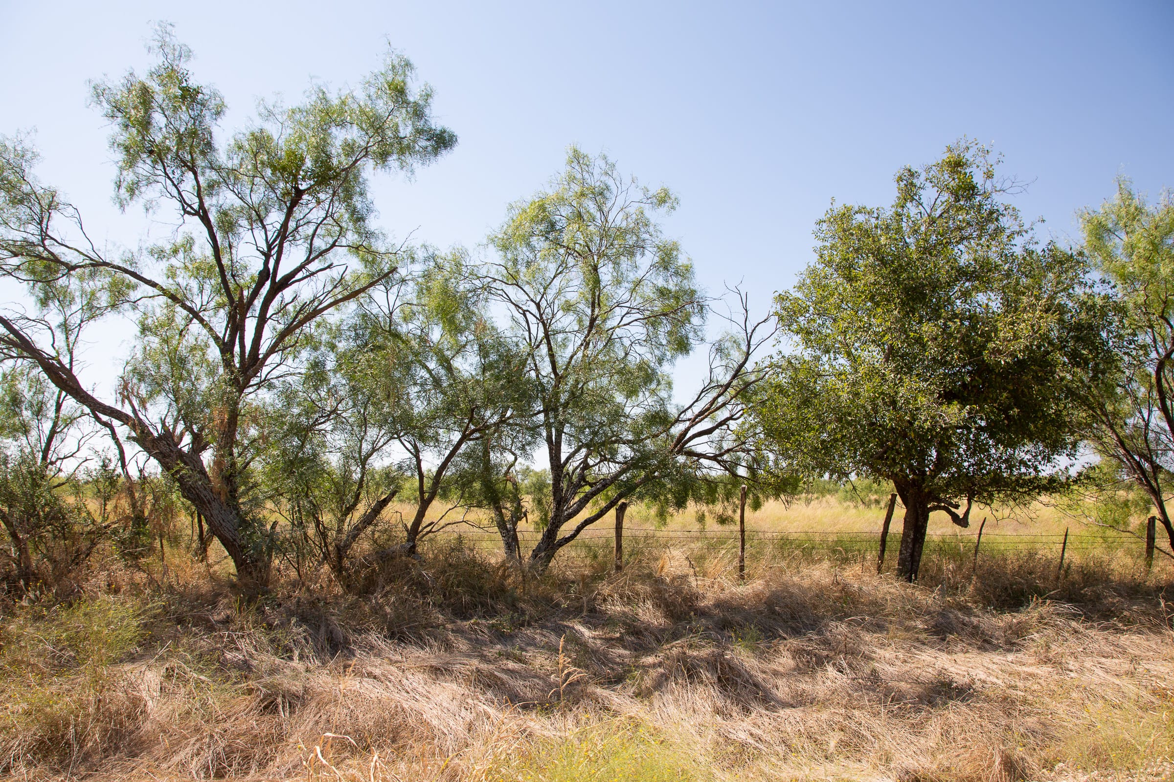 Hunter’s Ranch Tract 6 photo 7