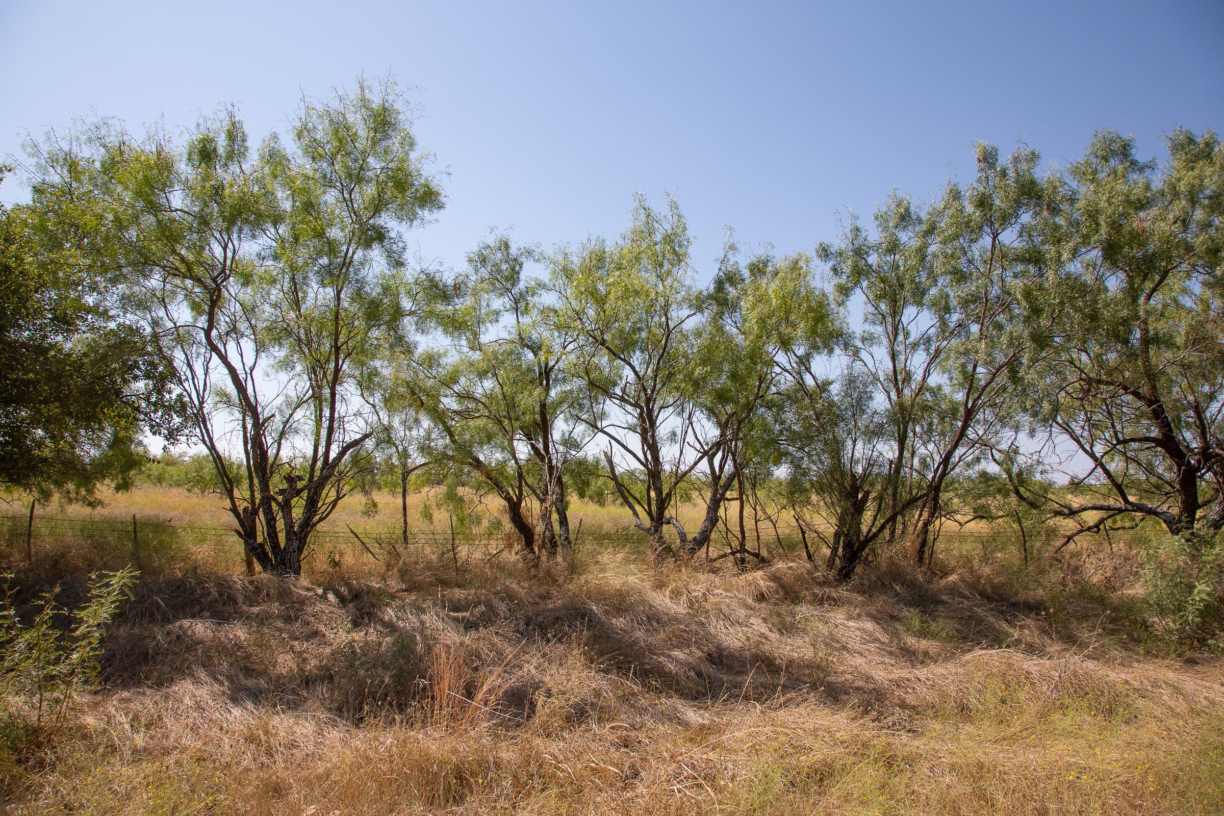 Hunter’s Ranch Tract 6 photo 10