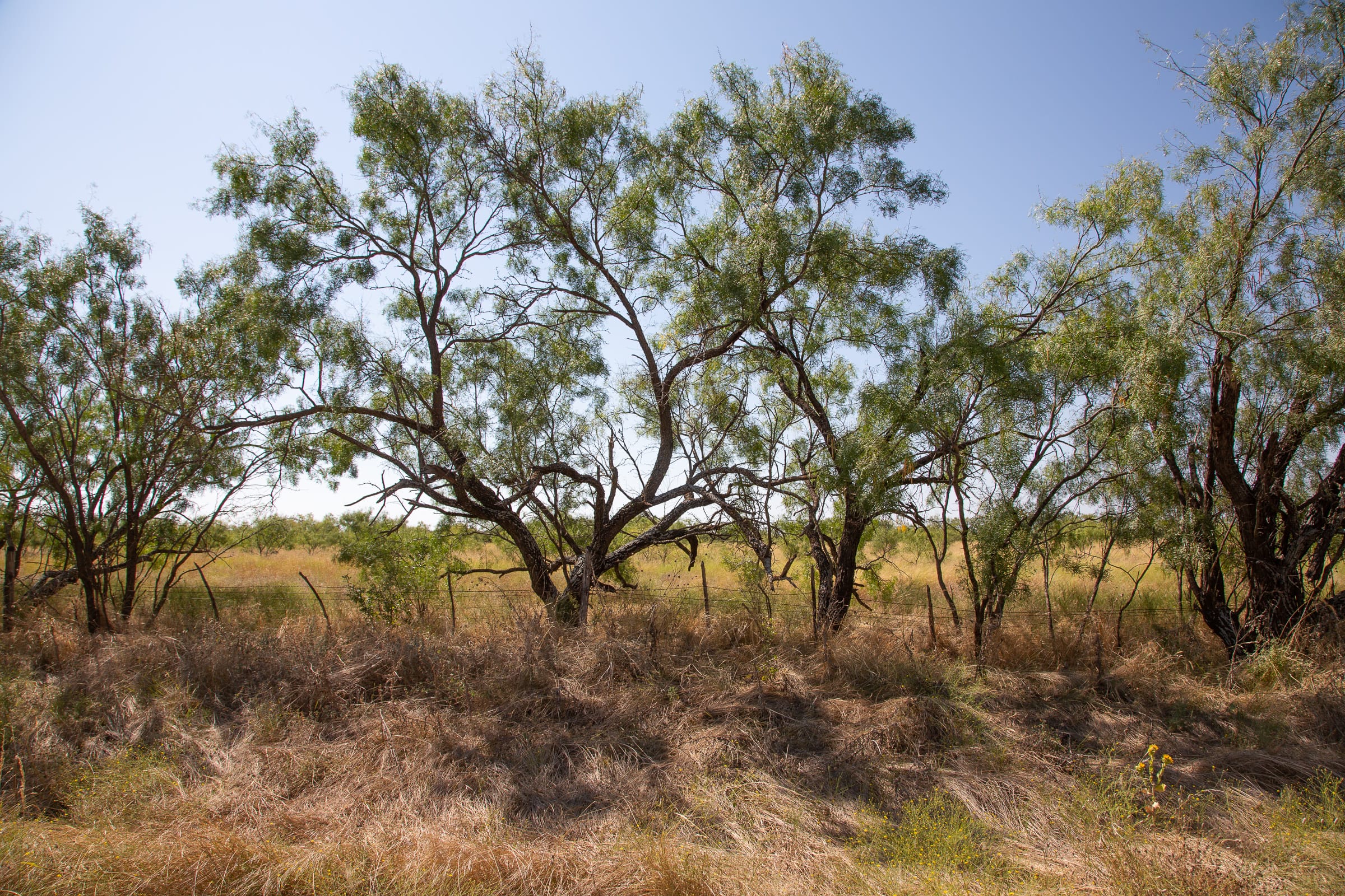 Hunter’s Ranch Tract 6 photo 5