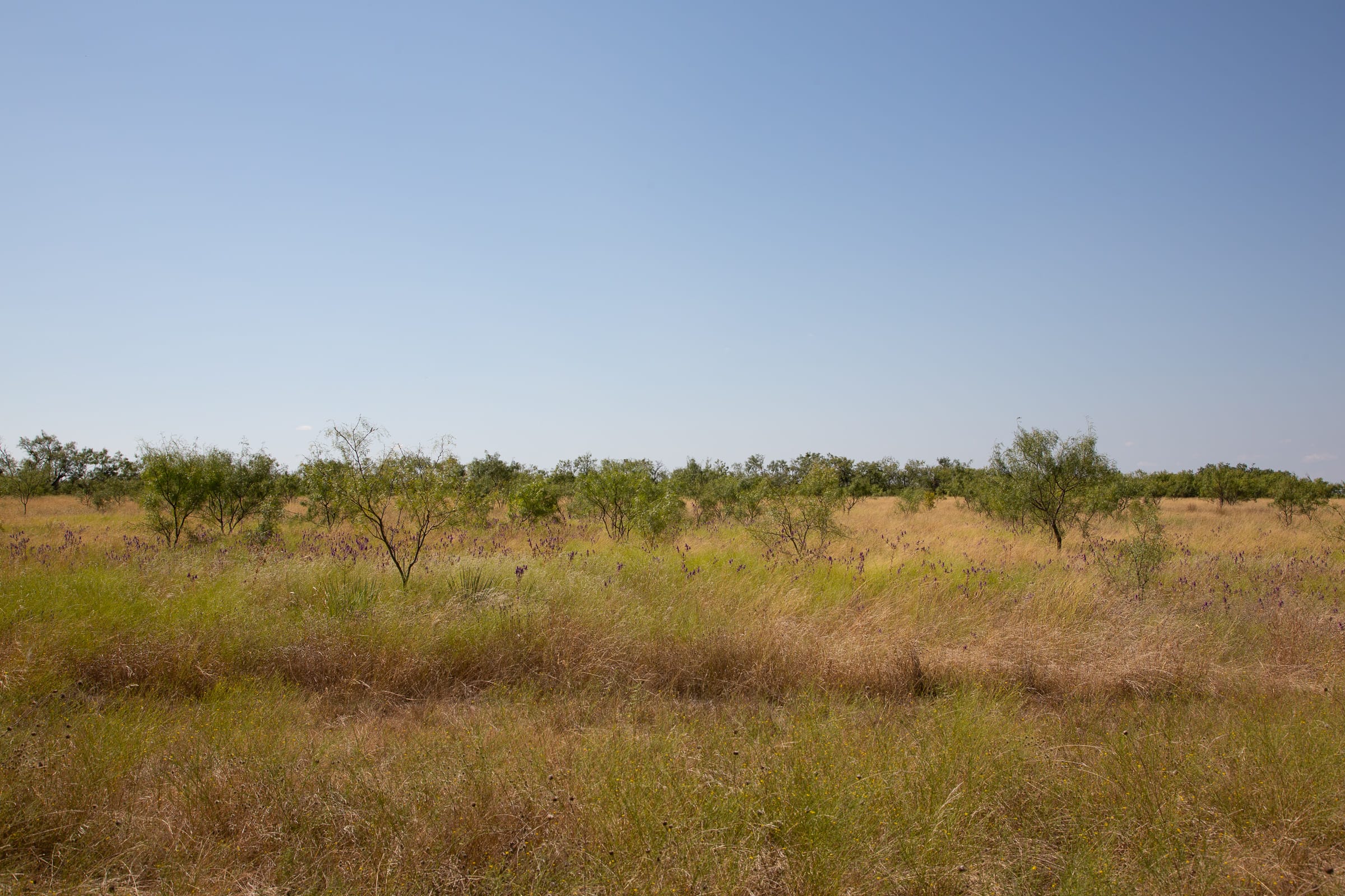 Hunter’s Ranch Tract 6 photo 6