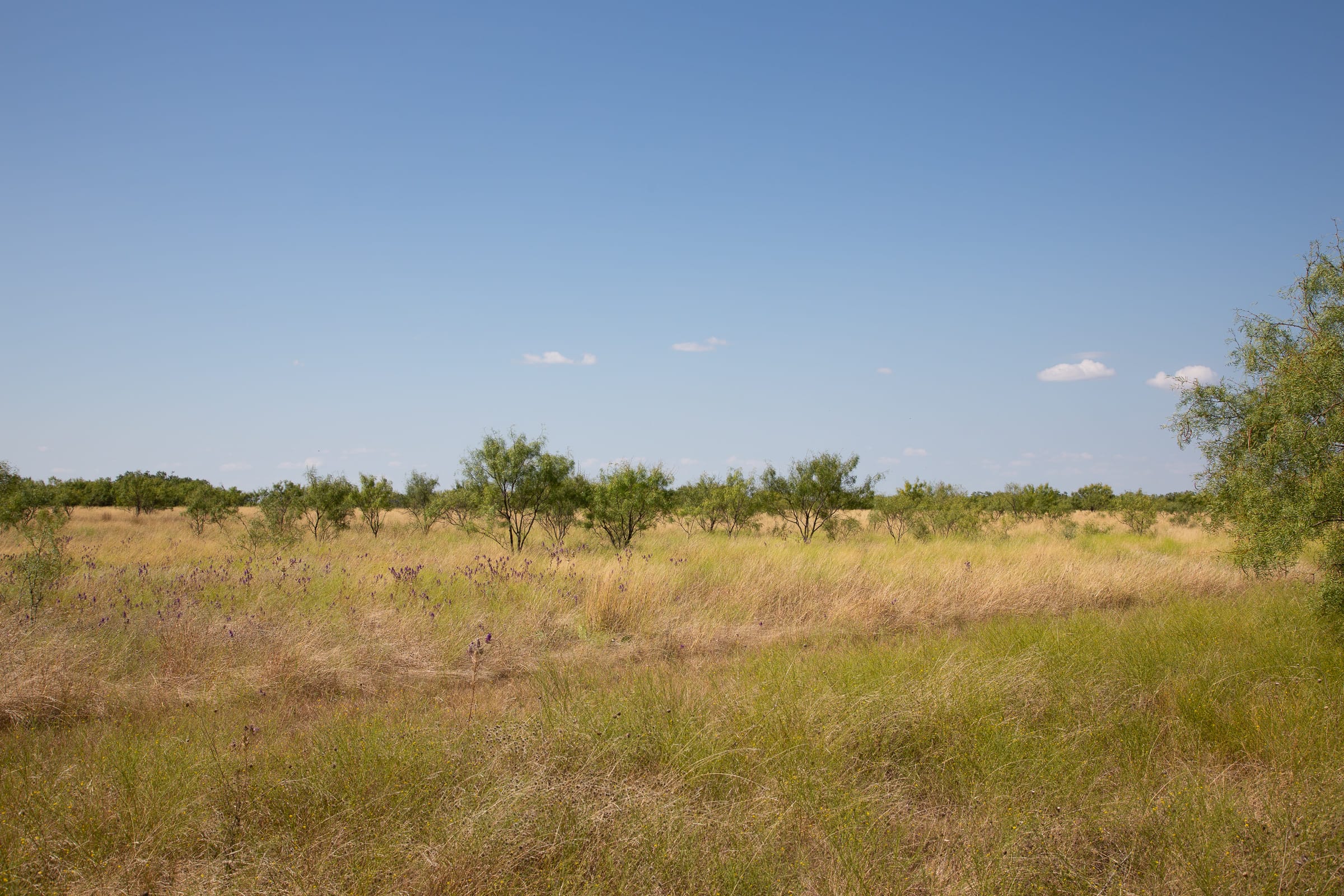 Hunter’s Ranch Tract 6 photo 8
