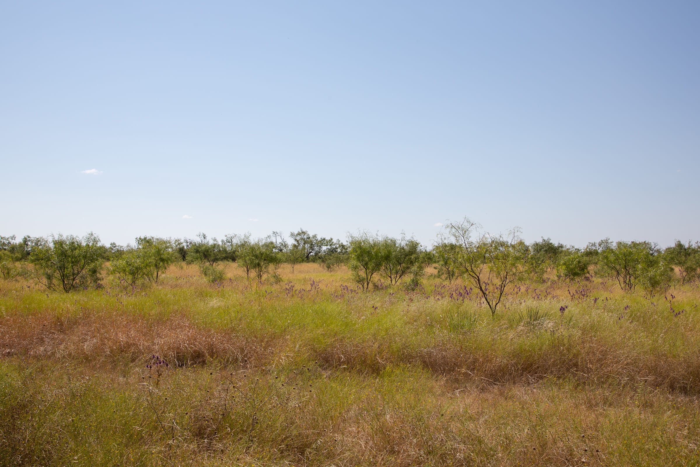 Hunter’s Ranch Tract 6 photo 9