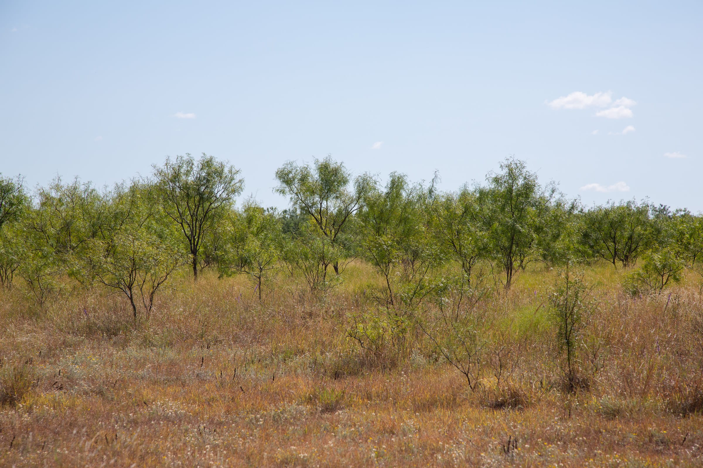 Hunter’s Ranch Tract 6 photo 11