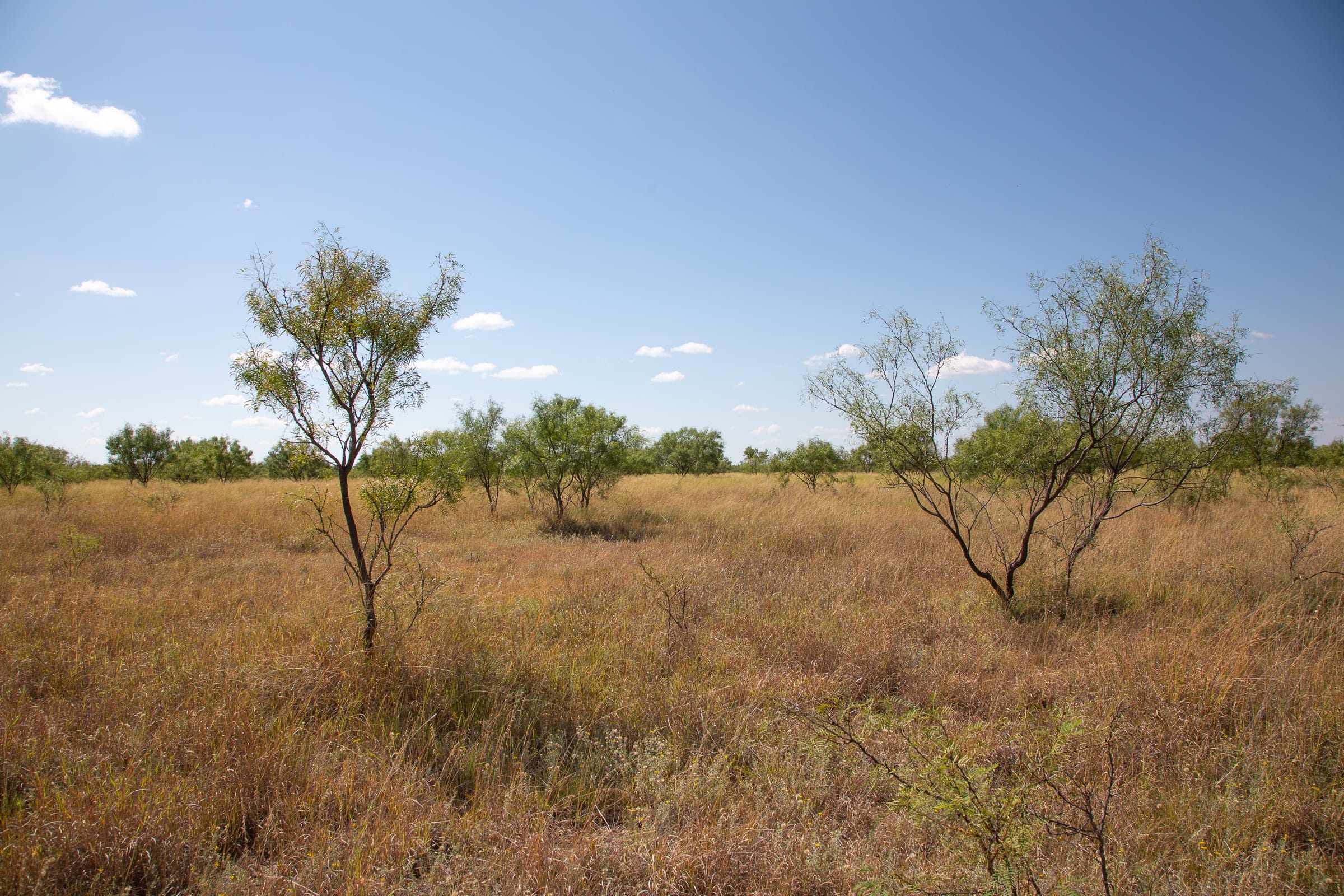 Hunter’s Ranch Tract 6 photo 12