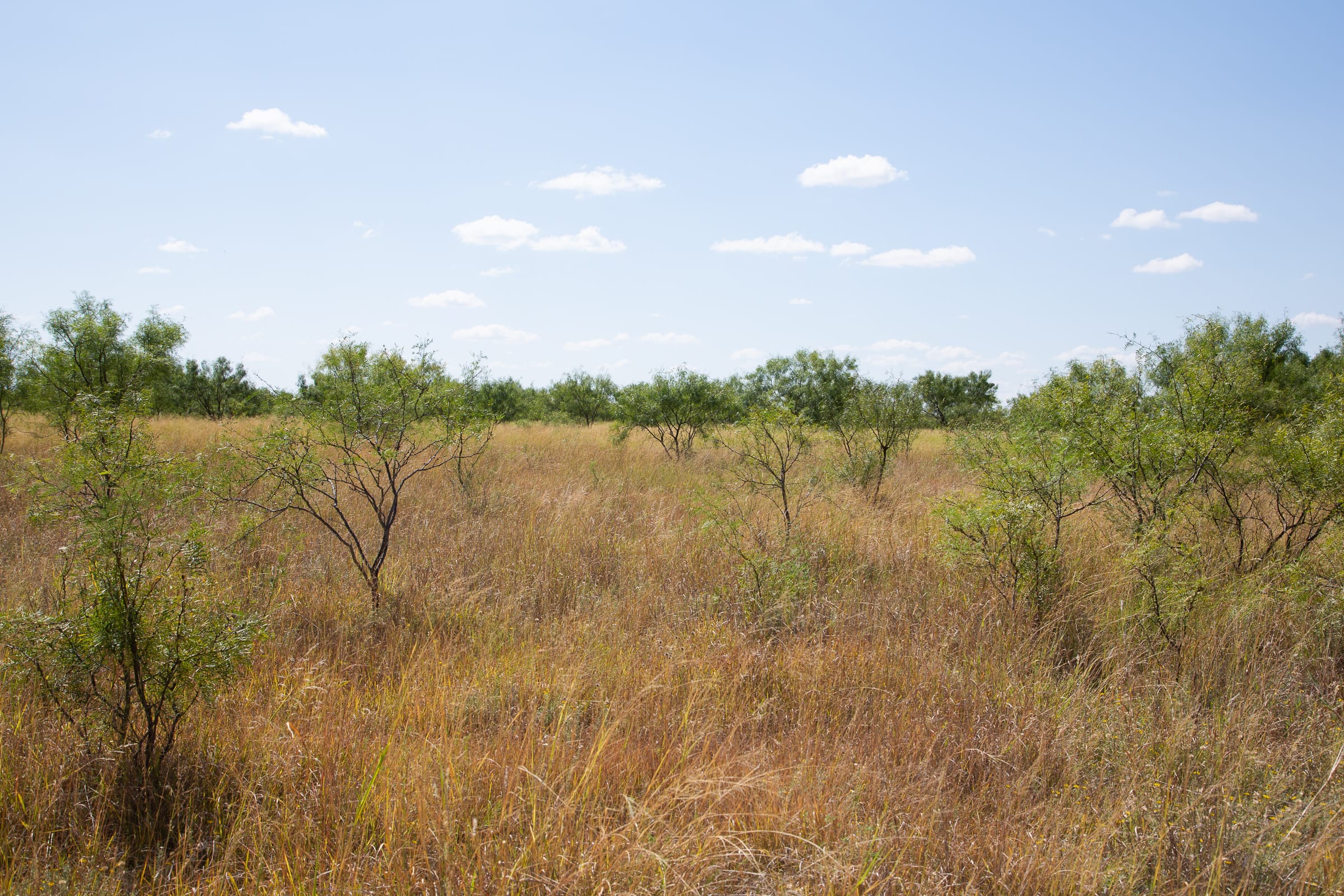 Hunter’s Ranch Tract 6 photo 13
