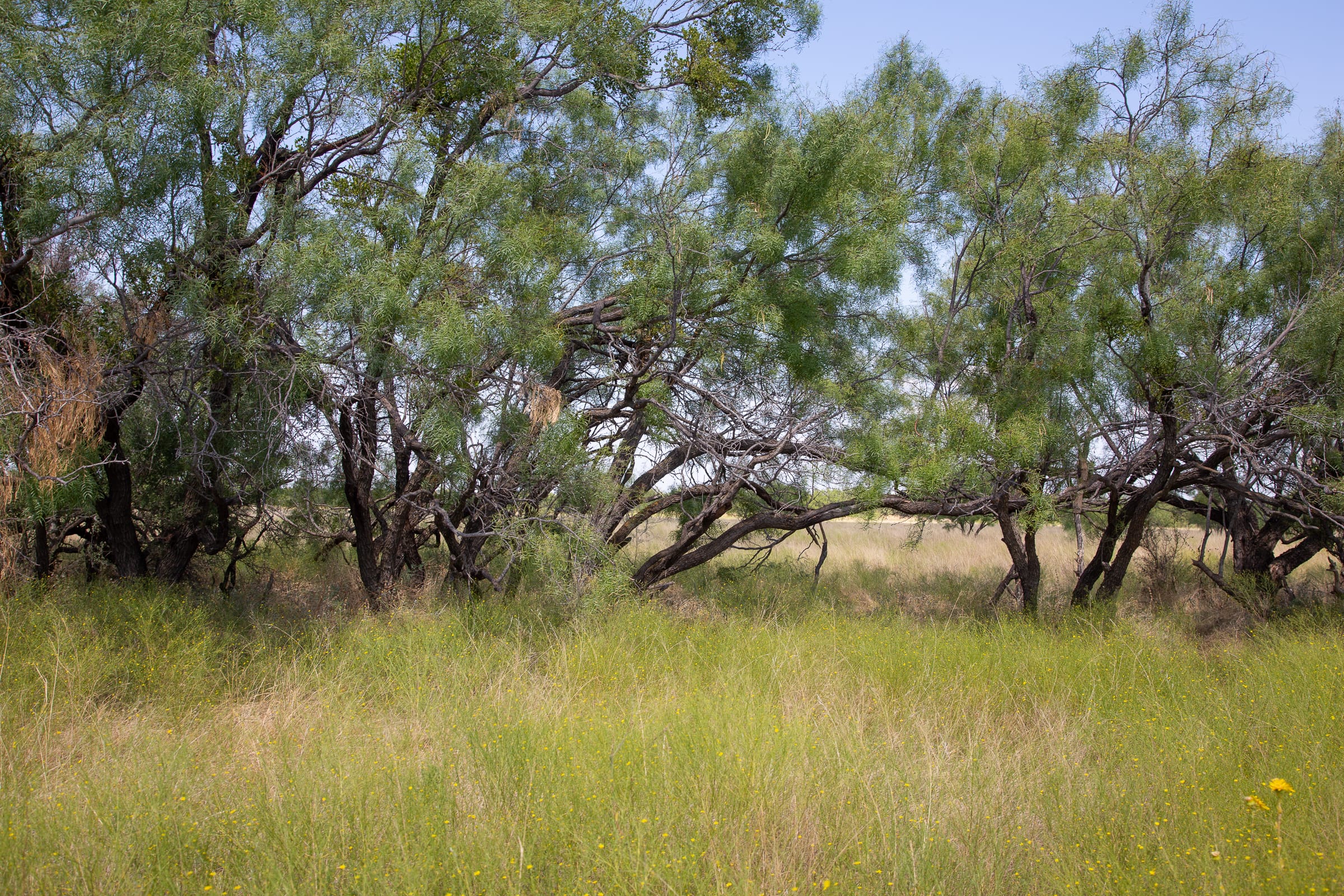 Hunter’s Ranch Tract 6 photo 14