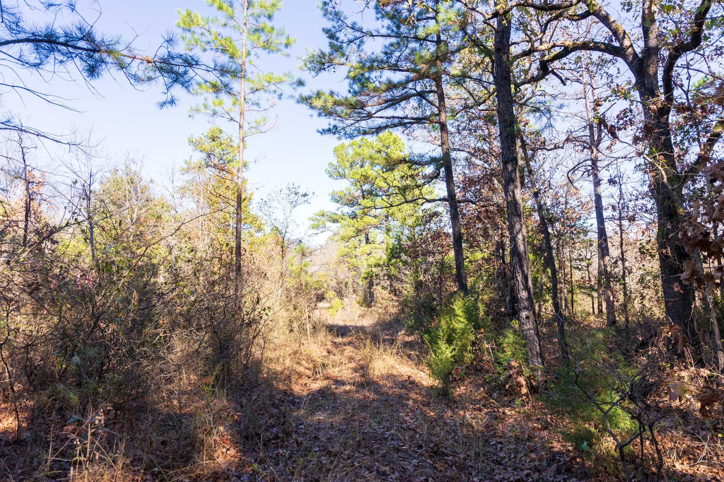 Stone Bridge Reserve Tract 9 photo 6