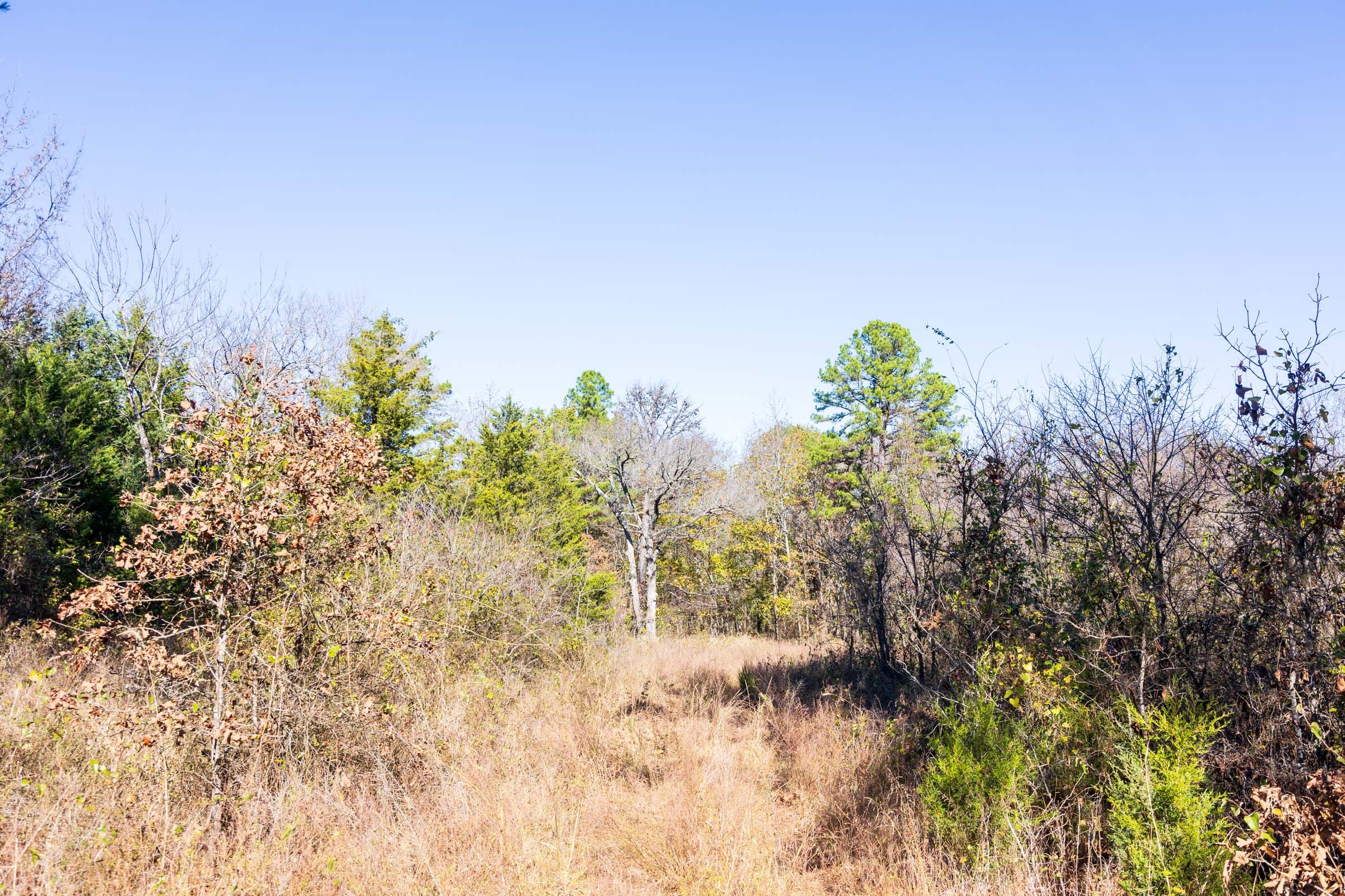 Stone Bridge Reserve Tract 9 photo 7