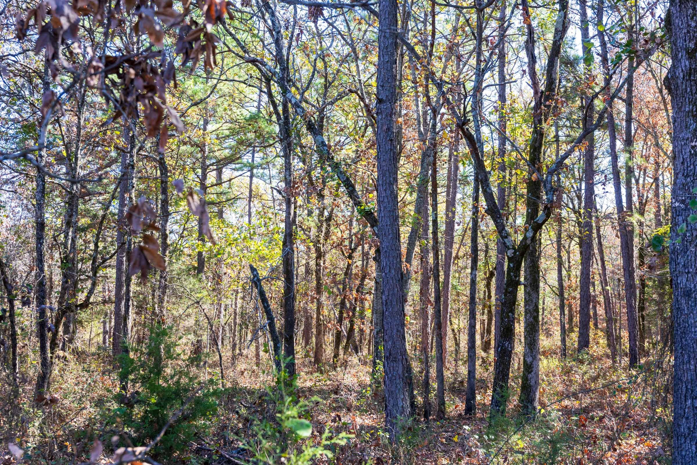 Stone Bridge Reserve Tract 9 photo 3