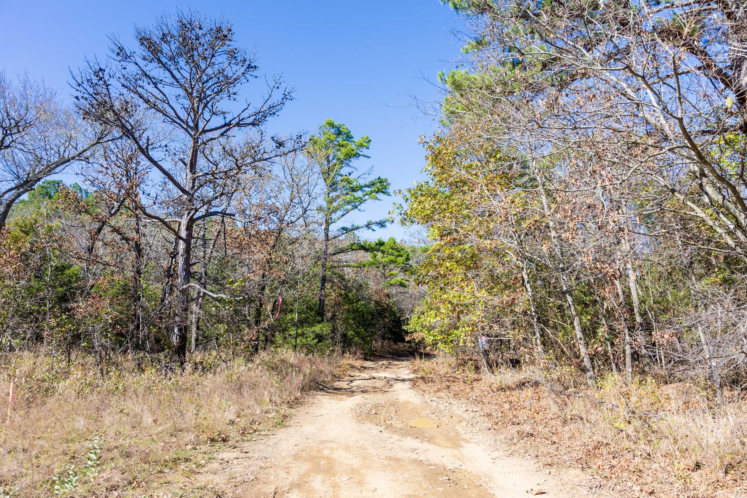 Stone Bridge Reserve Tract 9 photo 1