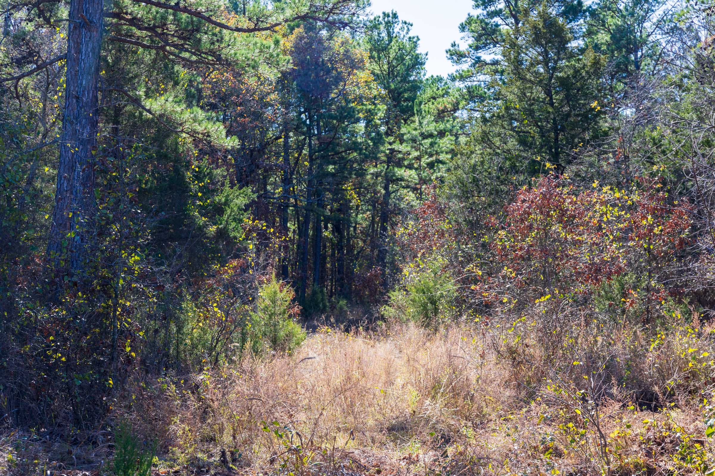 Stone Bridge Reserve Tract 9 photo 4