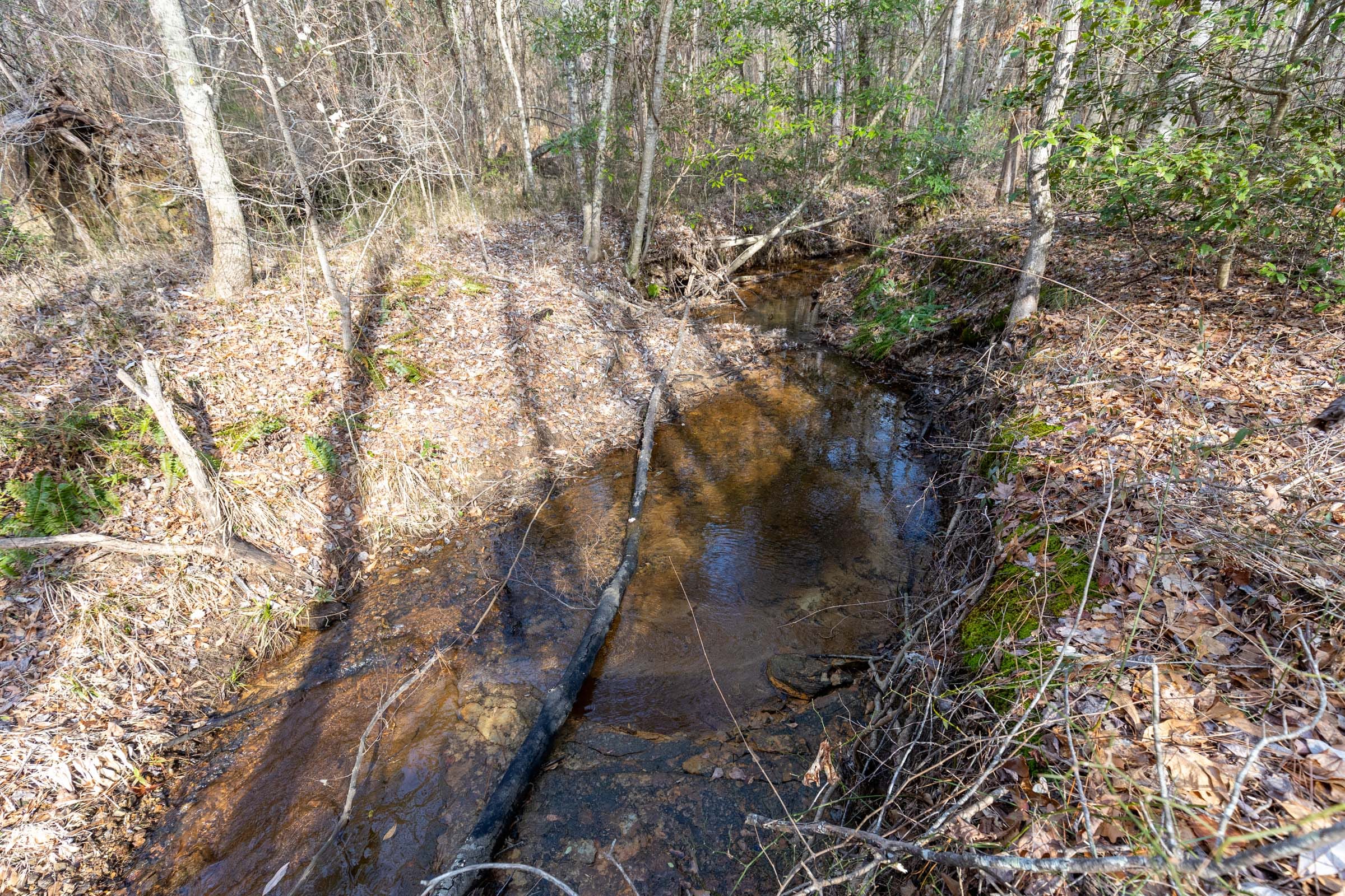 Baker Creek Tract 9 photo 8