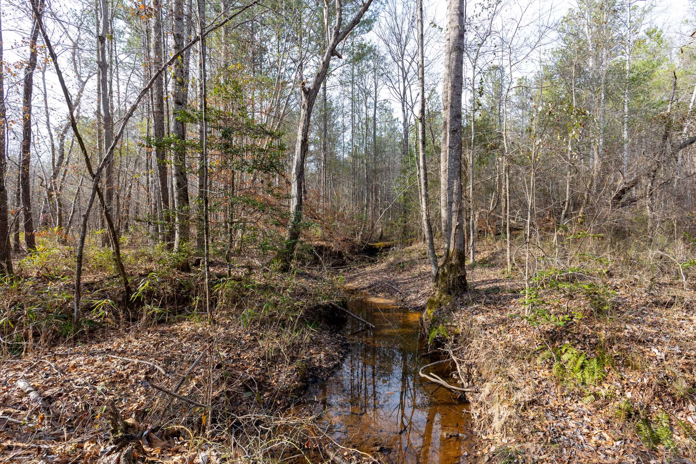Baker Creek Tract 9 photo 4