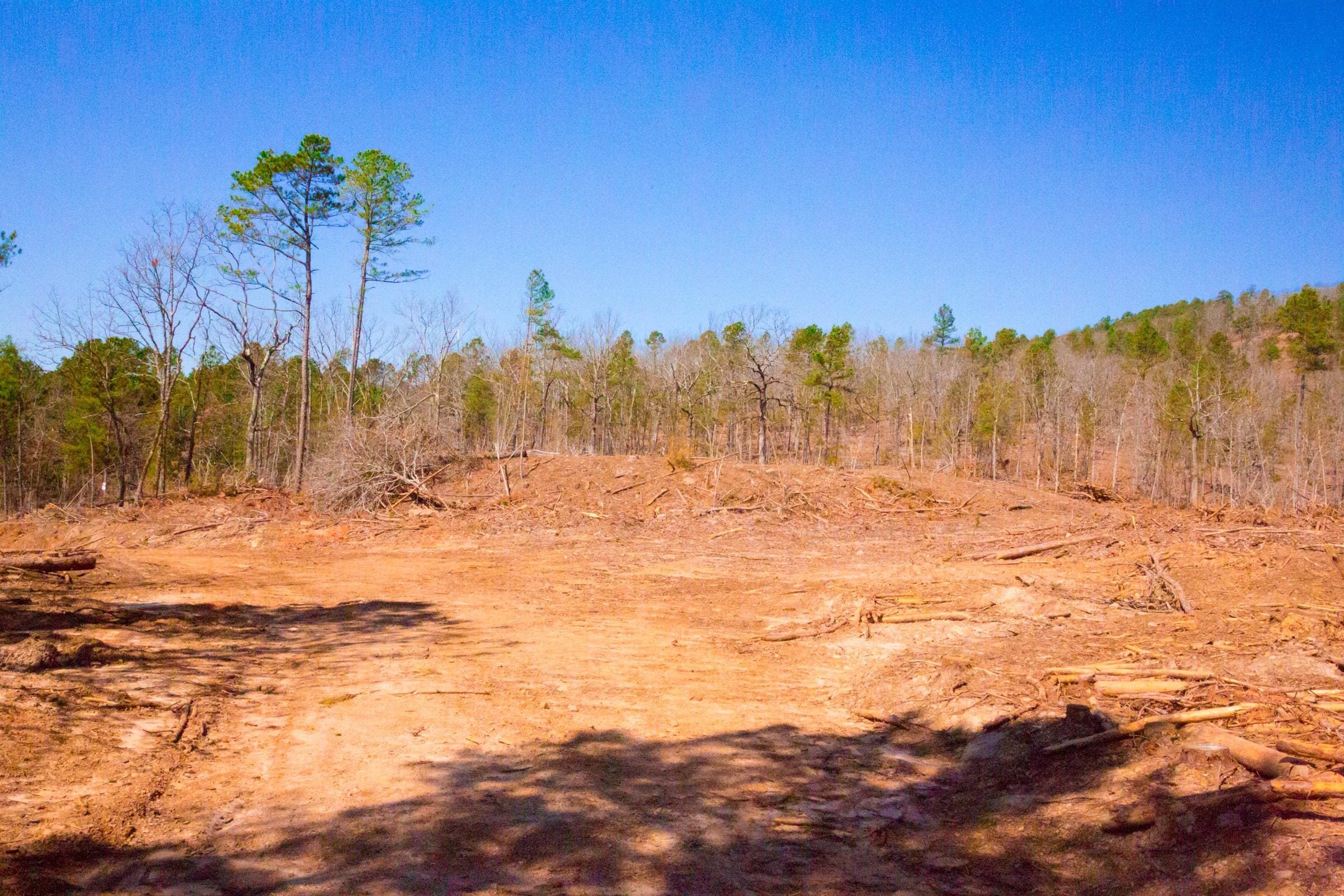 Stone Creek Phase II Tract 133 photo 6