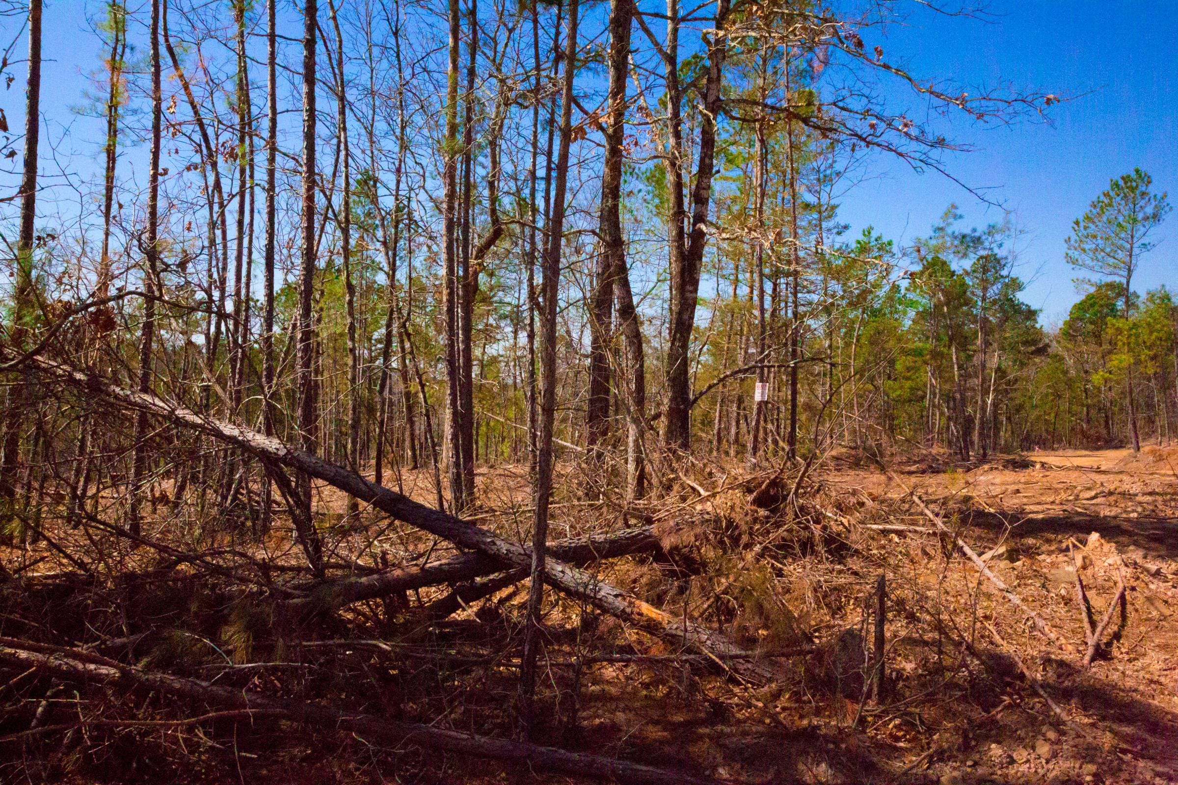 Stone Creek Phase II Tract 133 photo 7
