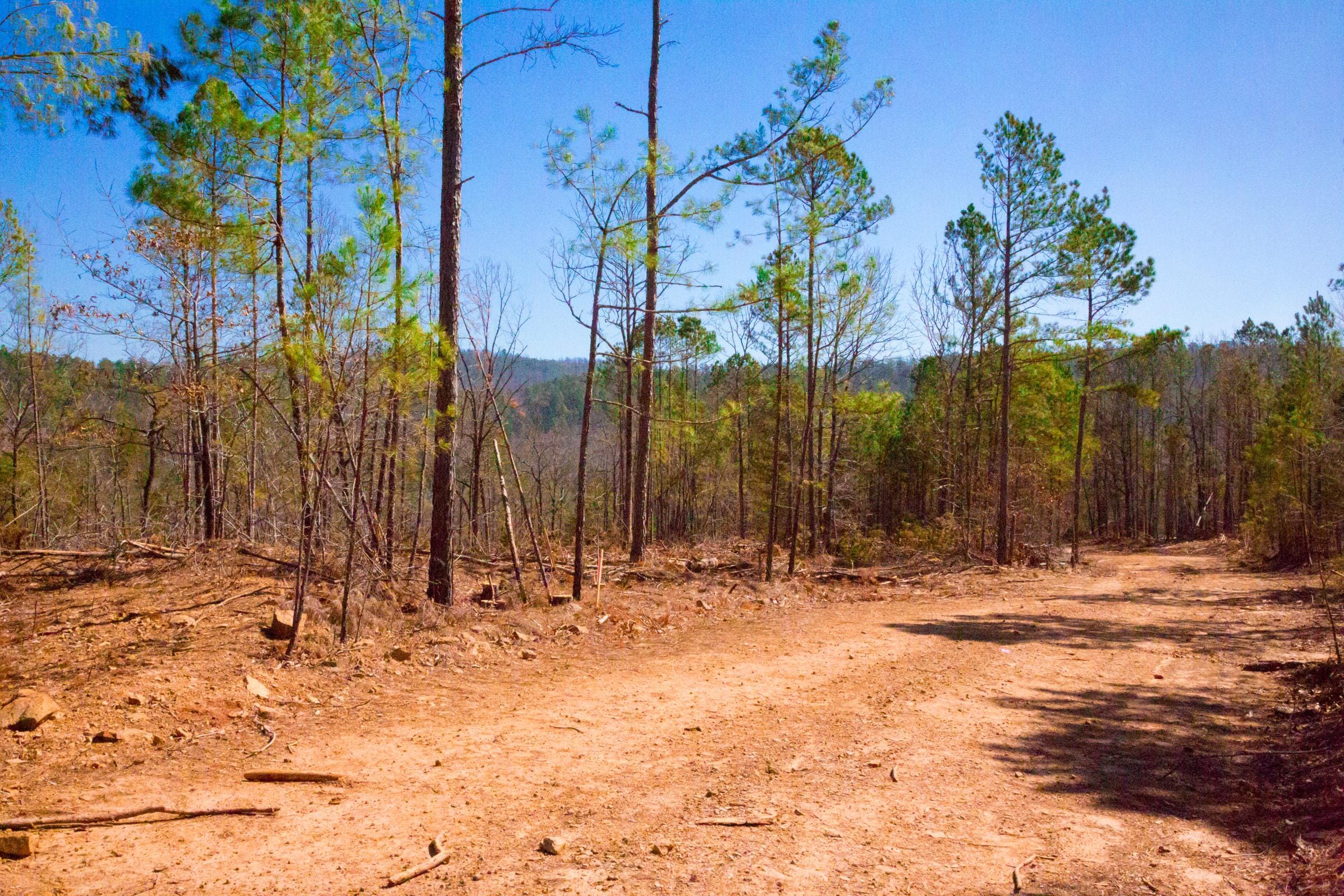 Stone Creek Phase II Tract 133 photo 8