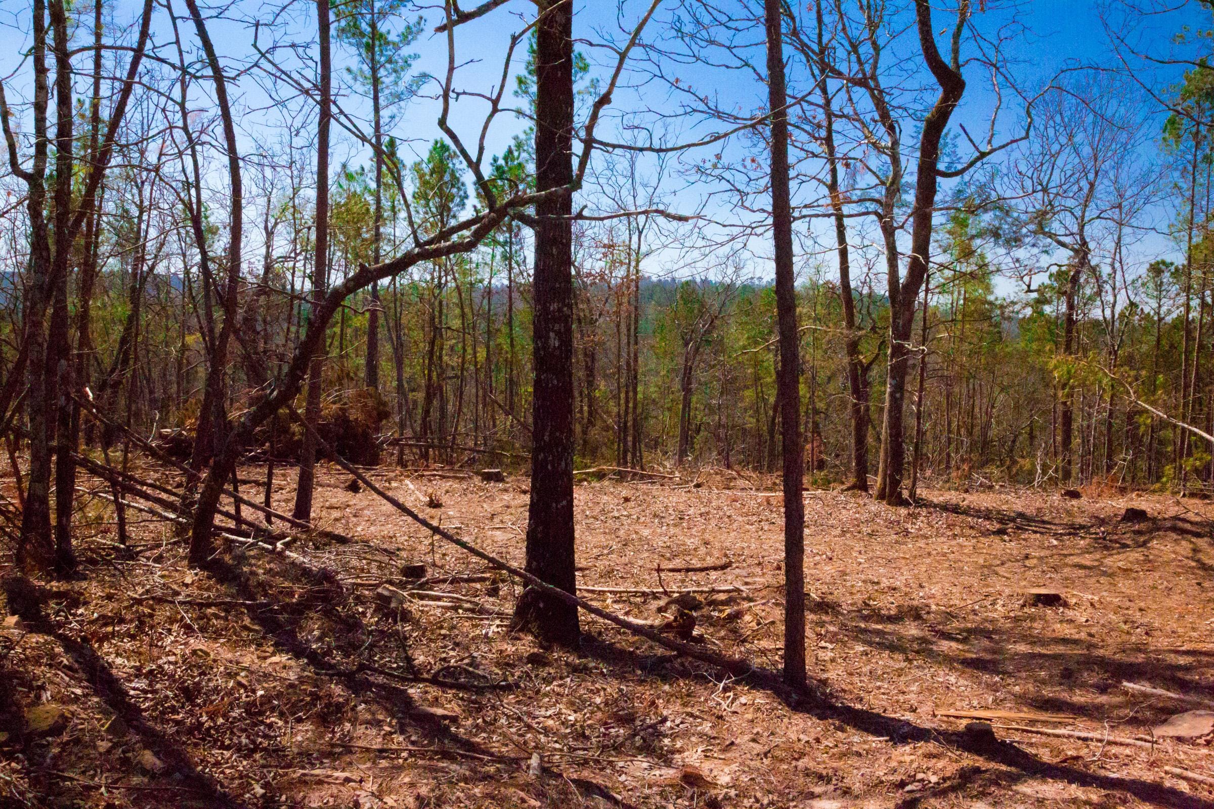 Stone Creek Phase II Tract 133 photo 9
