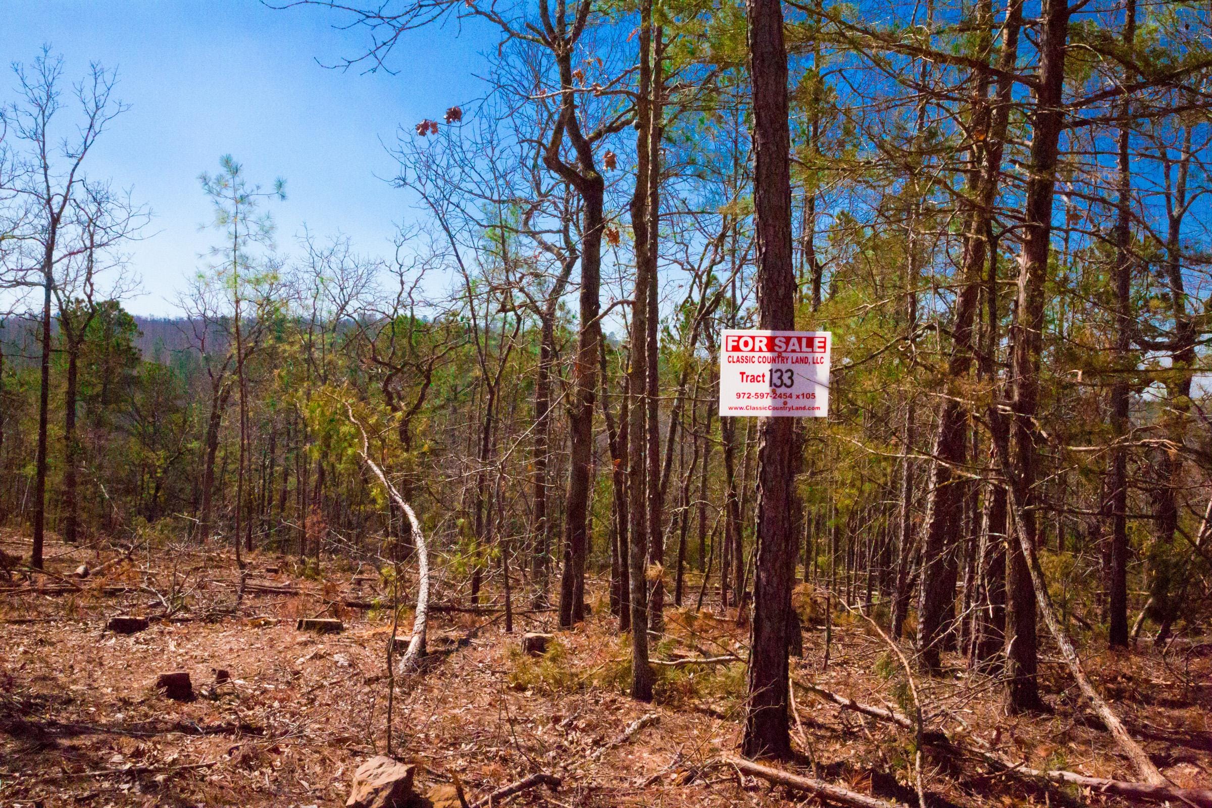 Stone Creek Phase II Tract 133 photo 1