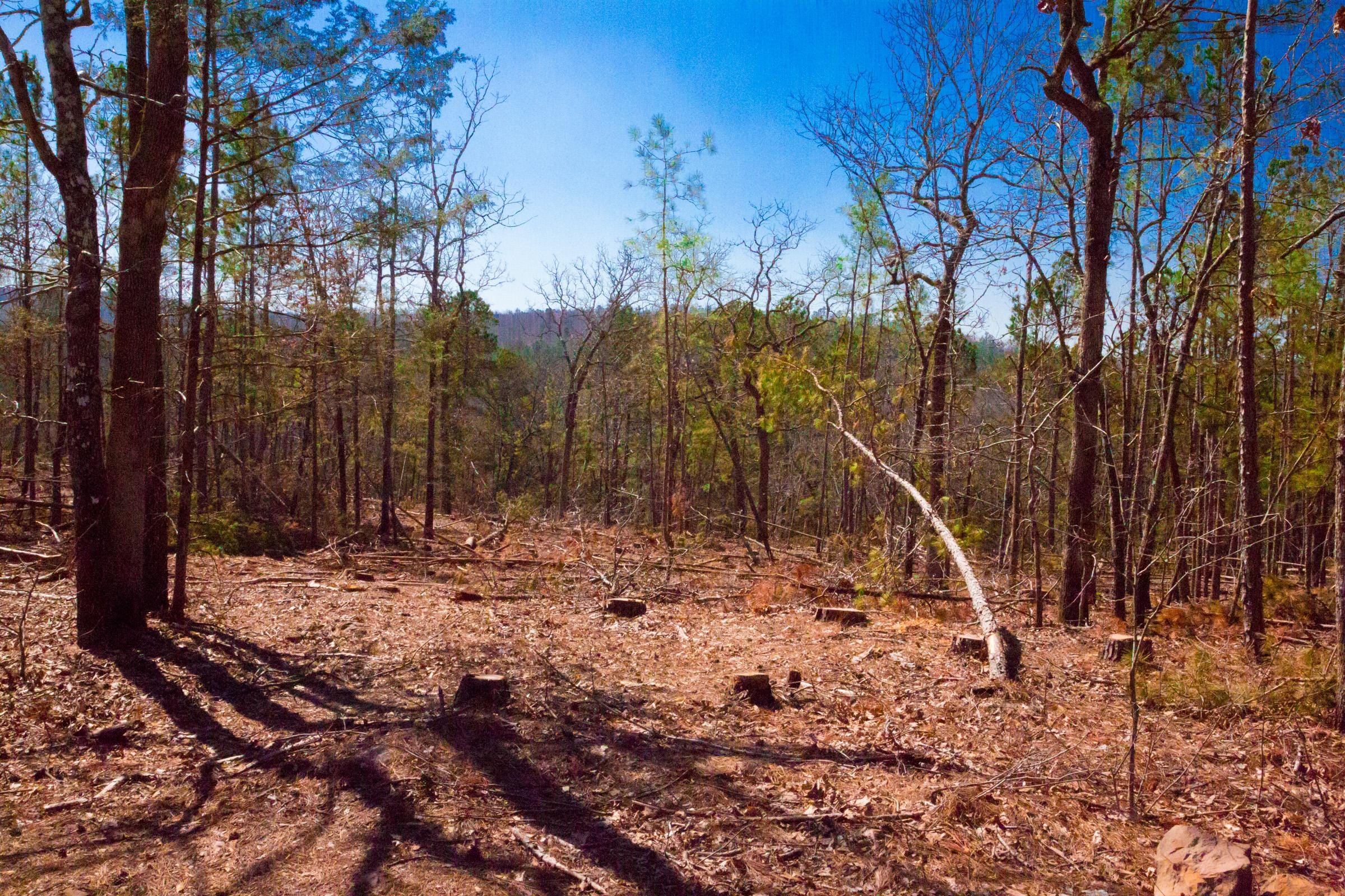 Stone Creek Phase II Tract 133 photo 10