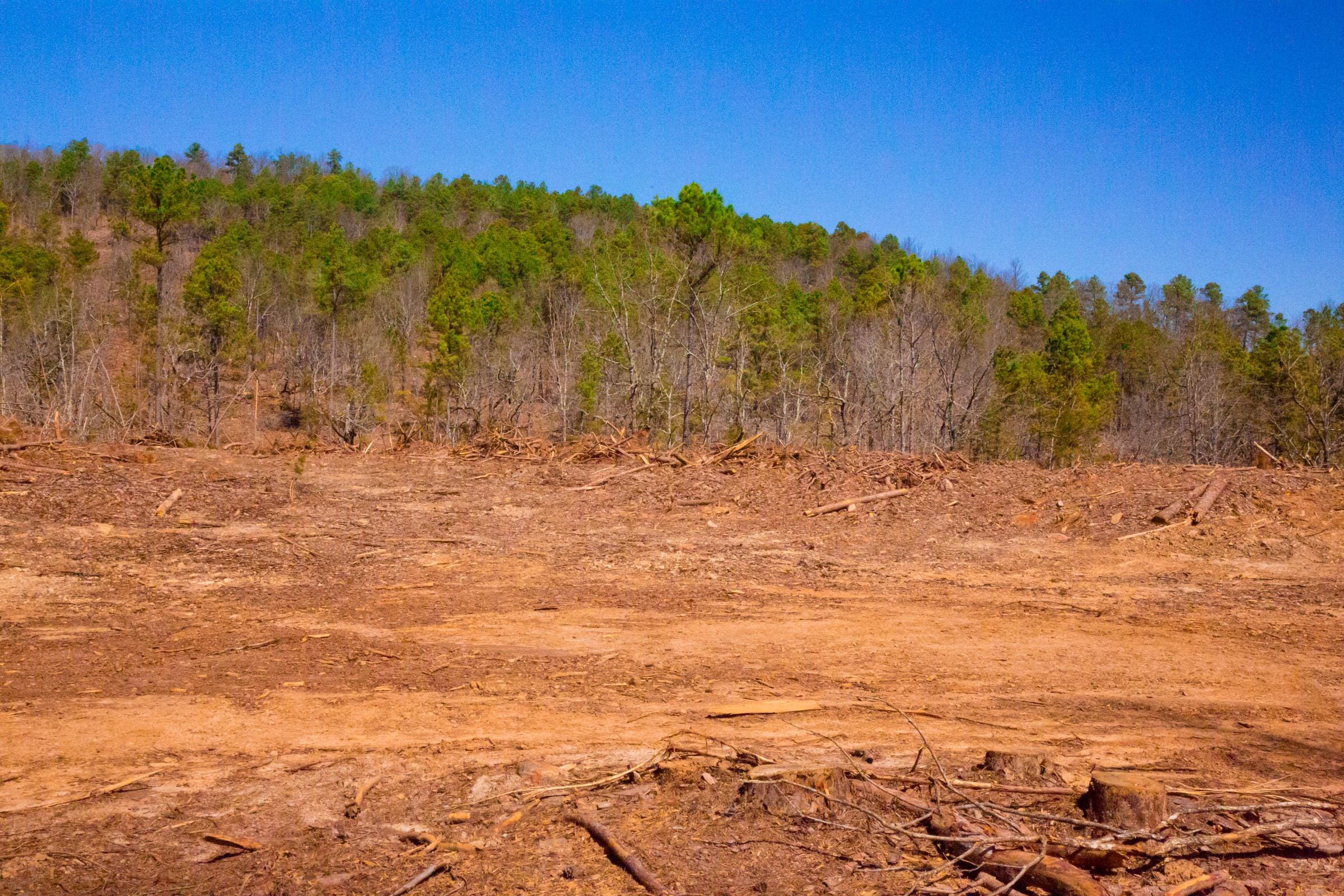 Stone Creek Phase II Tract 133 photo 11