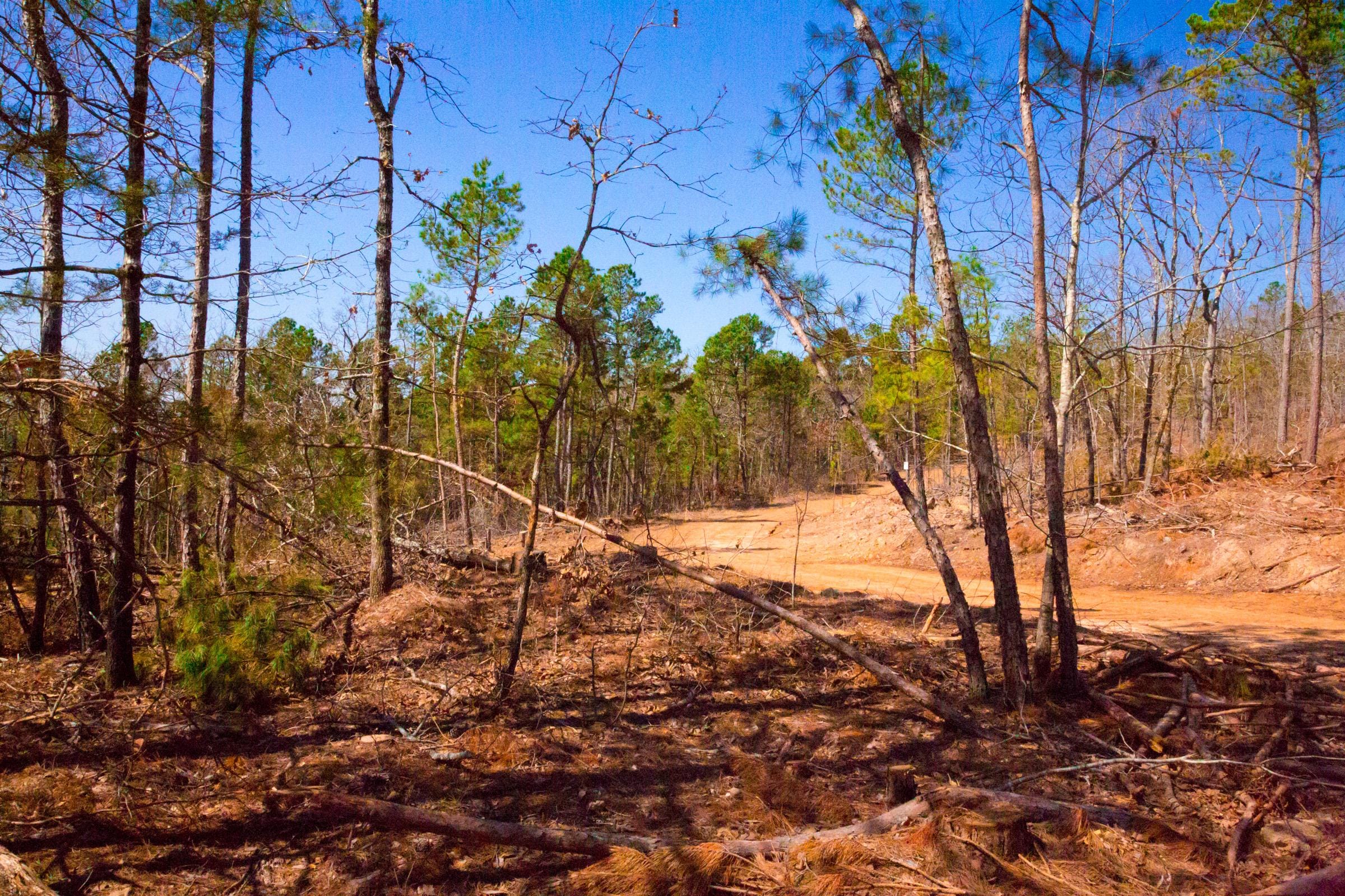 Stone Creek Phase II Tract 133 photo 12