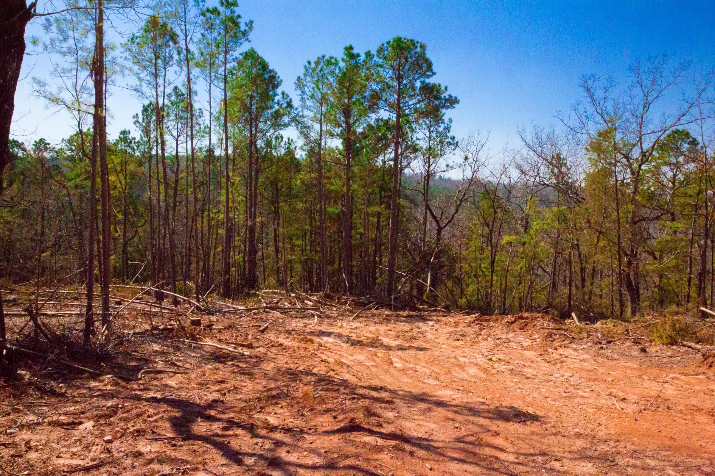 Stone Creek Phase II Tract 133 photo 13