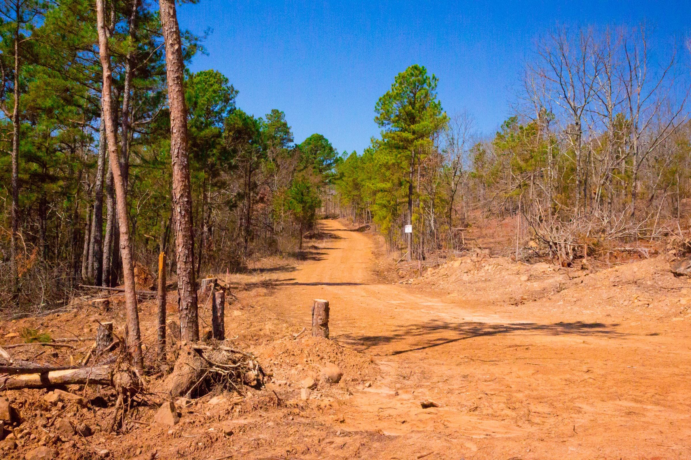 Stone Creek Phase II Tract 133 photo 2