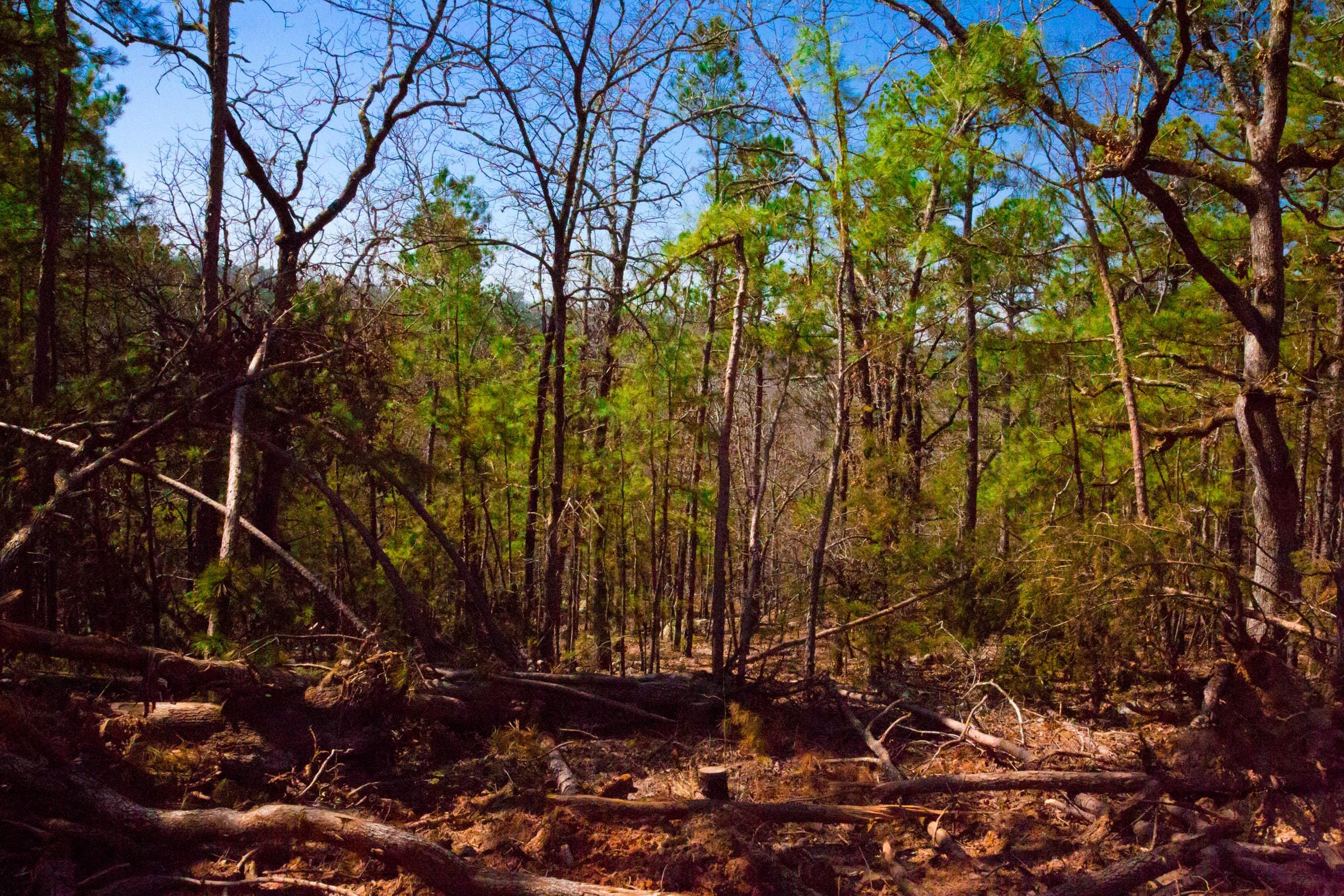 Stone Creek Phase II Tract 133 photo 14