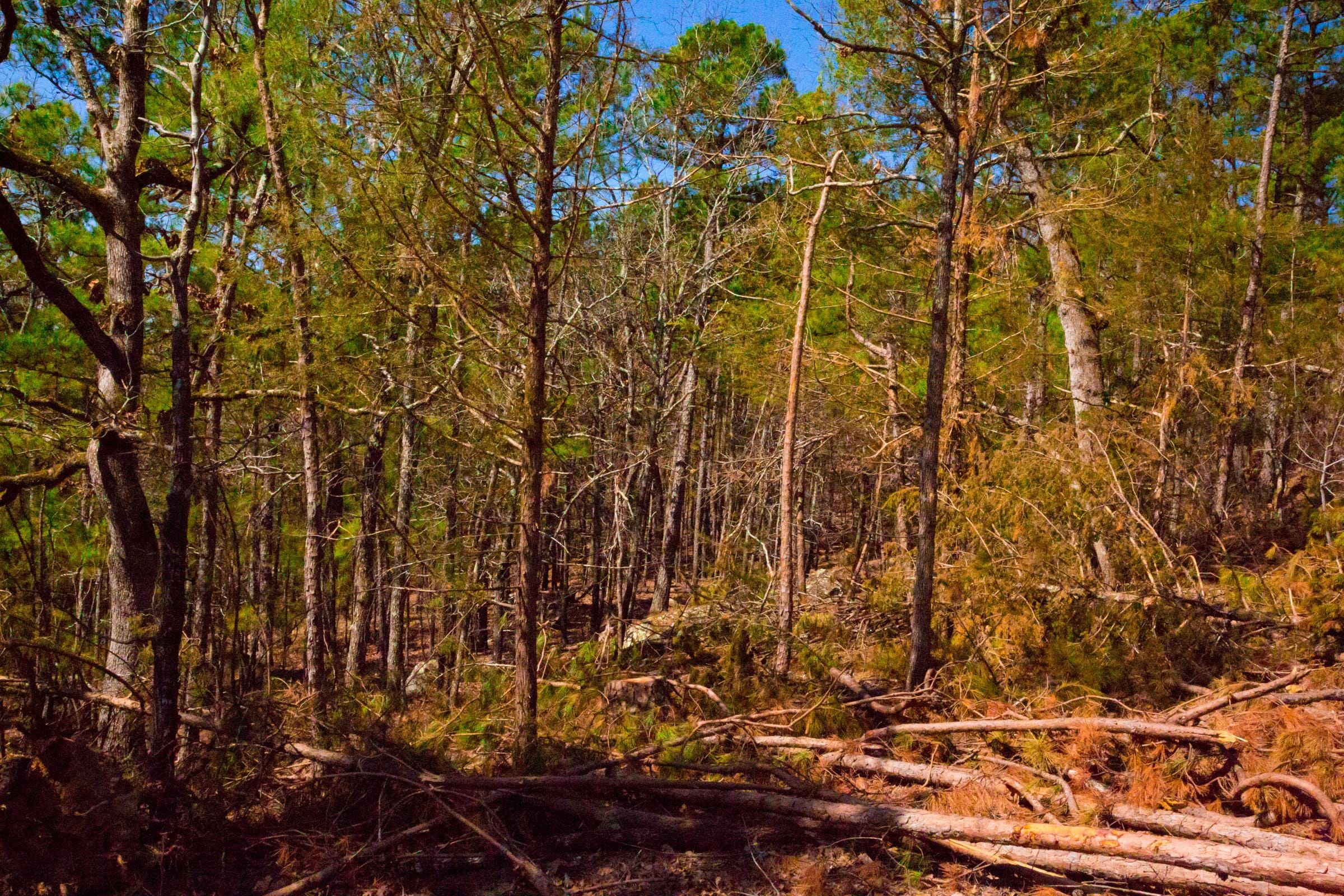 Stone Creek Phase II Tract 133 photo 15