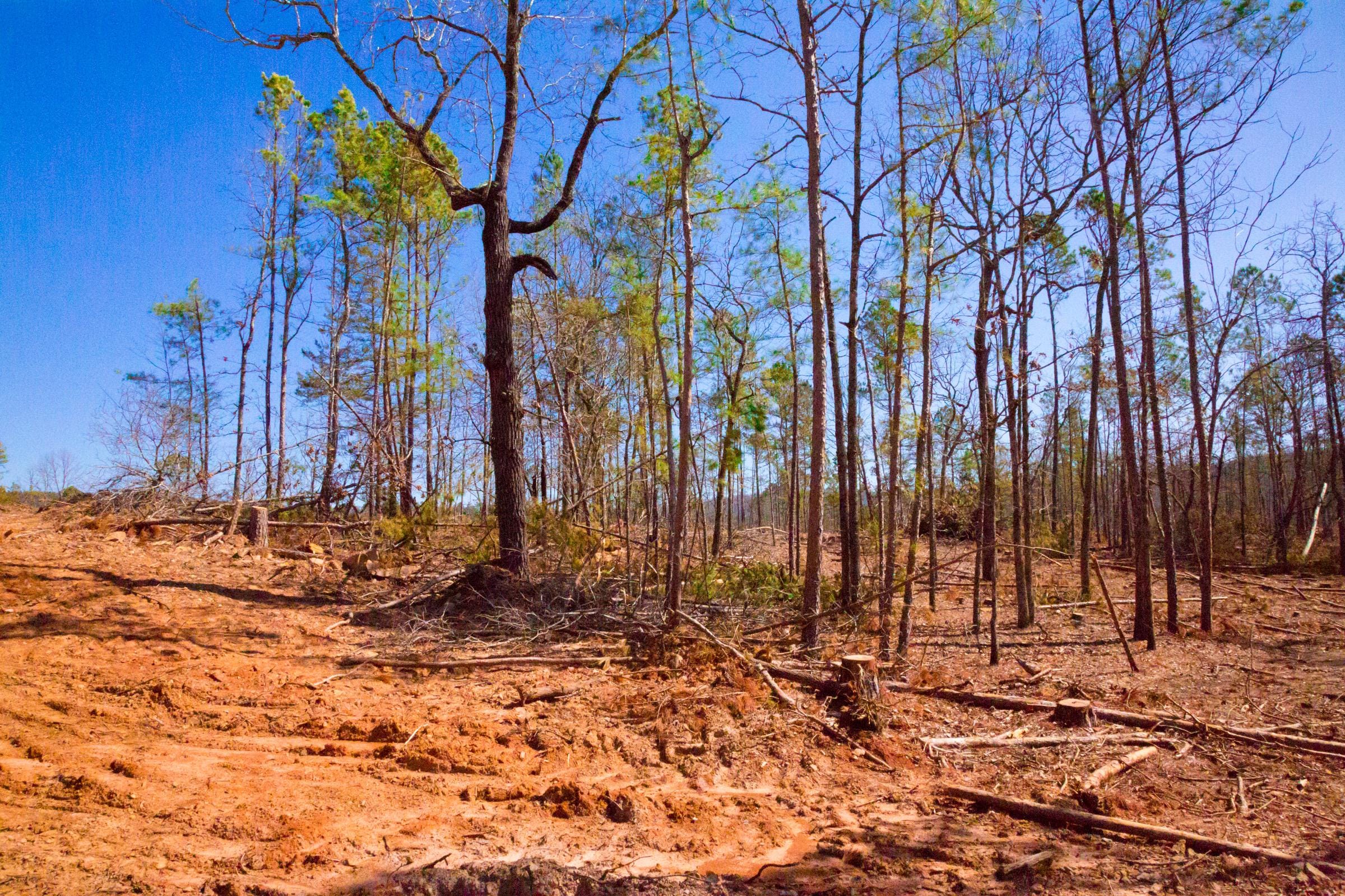 Stone Creek Phase II Tract 133 photo 16