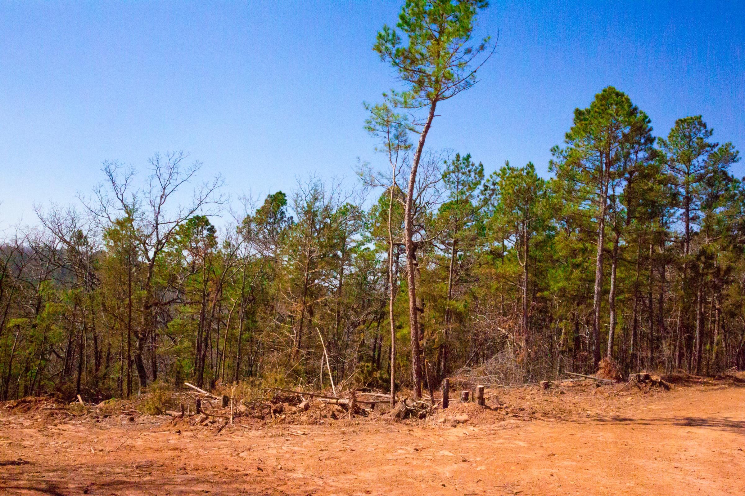 Stone Creek Phase II Tract 133 photo 17