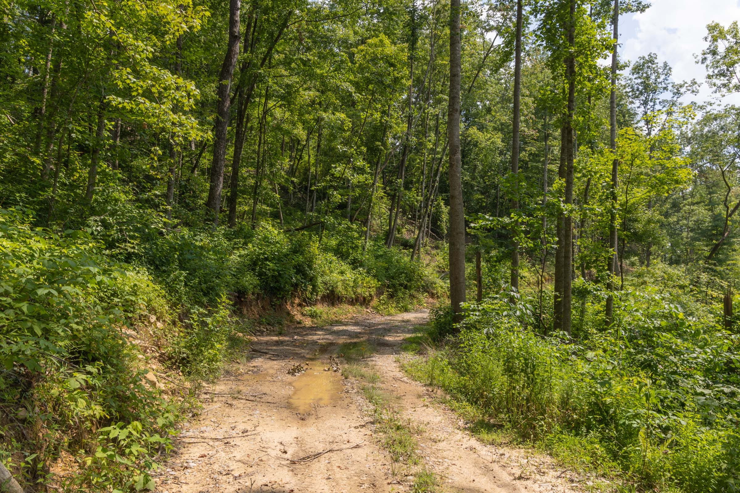 Creek Hollow Phase II Tract 58 photo 6