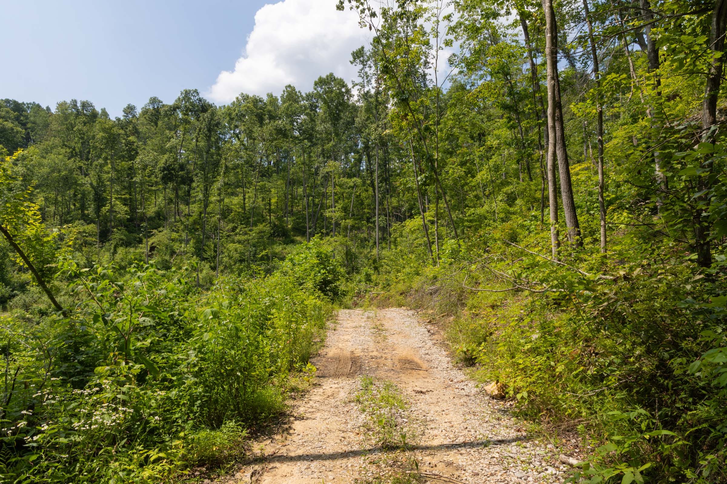 Creek Hollow Phase II Tract 58 photo 2